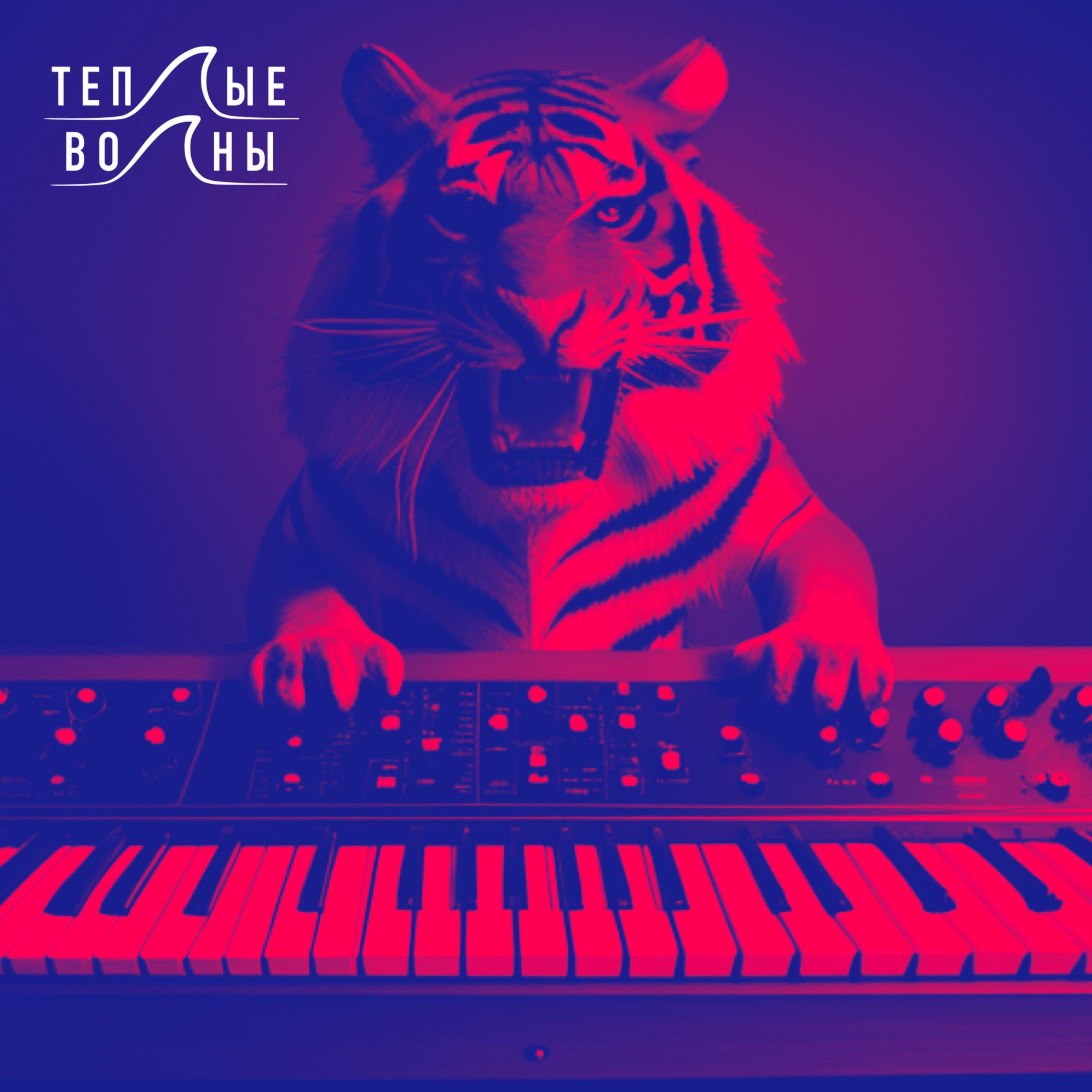 Постер альбома Тигры фанка