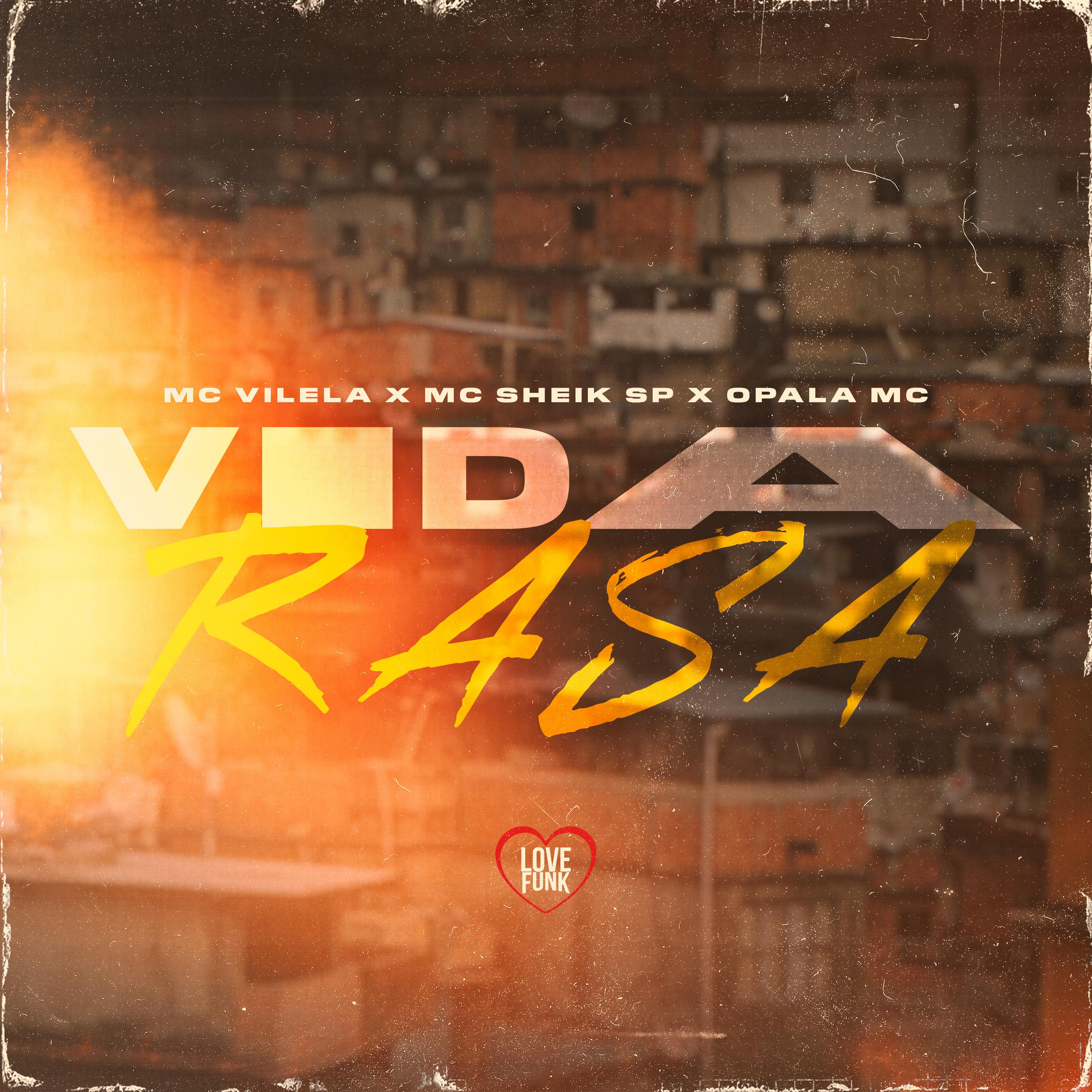 Постер альбома Vida Rasa