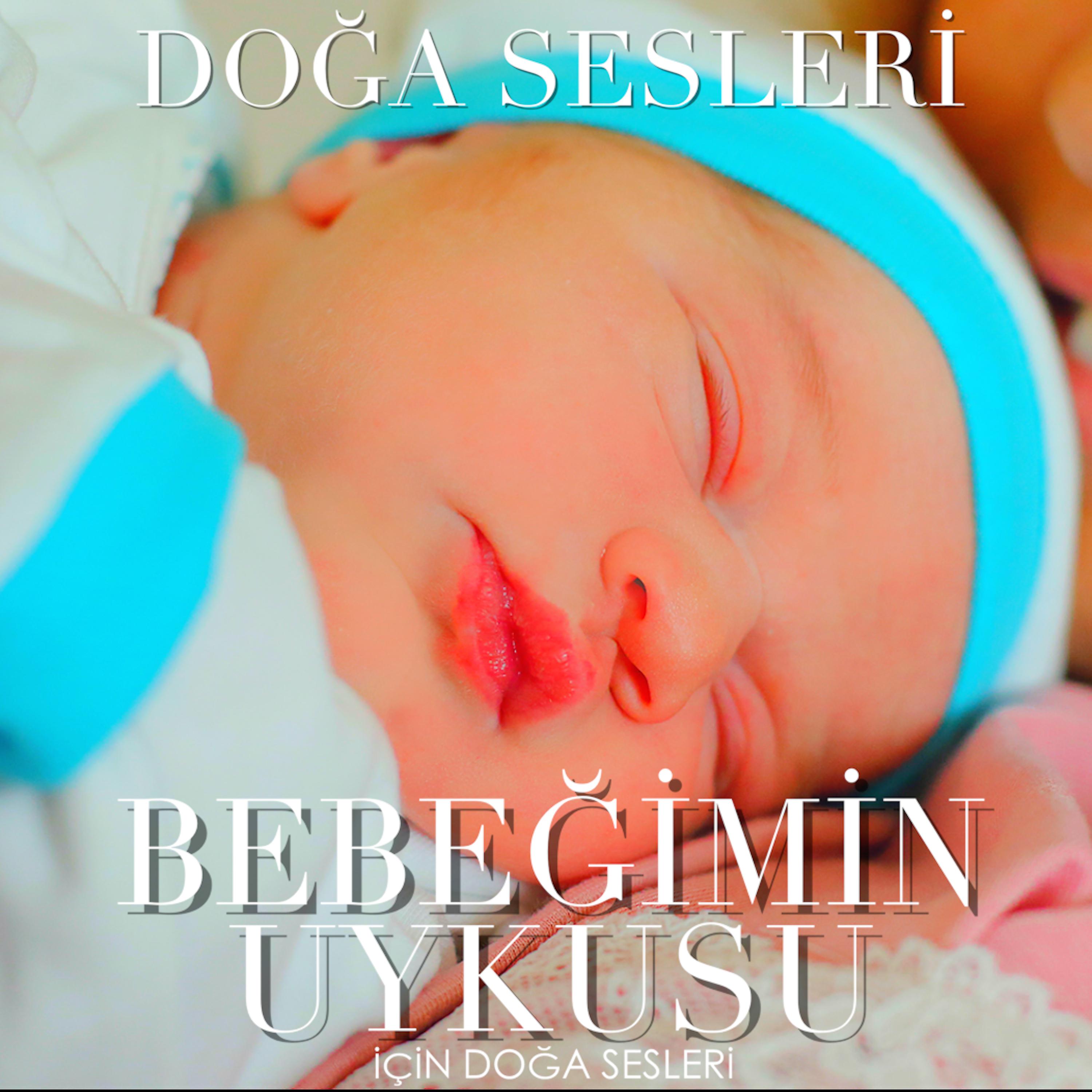 Постер альбома Bebeğimin Uykusu İçin Doğa Sesleri