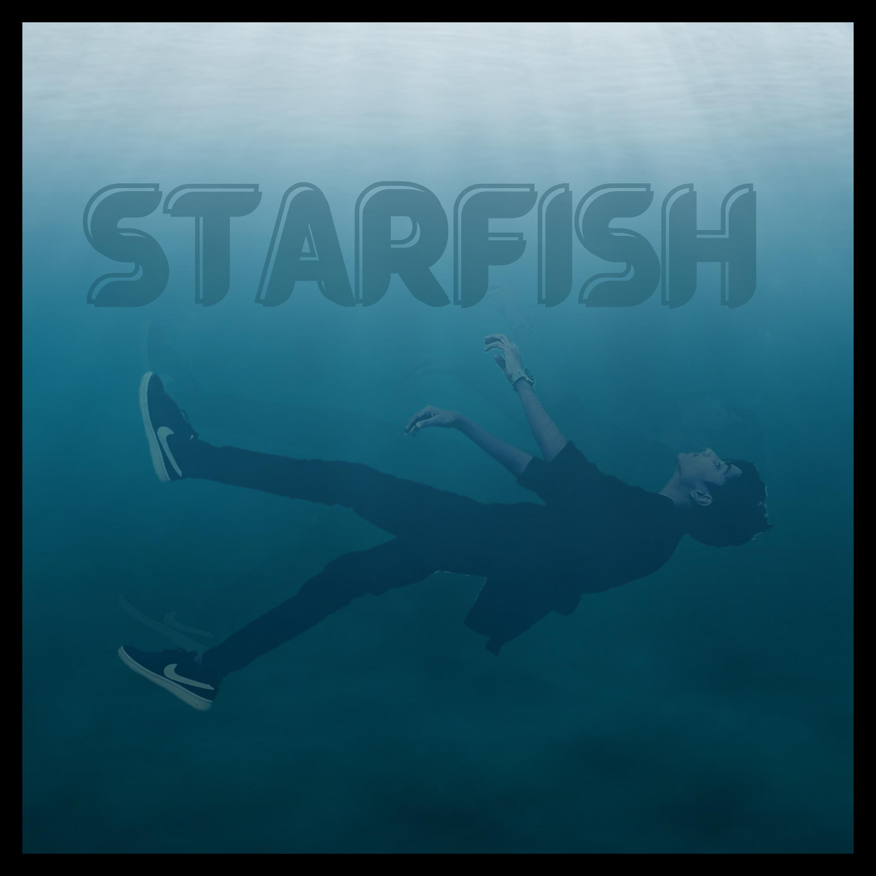 Постер альбома Starfish