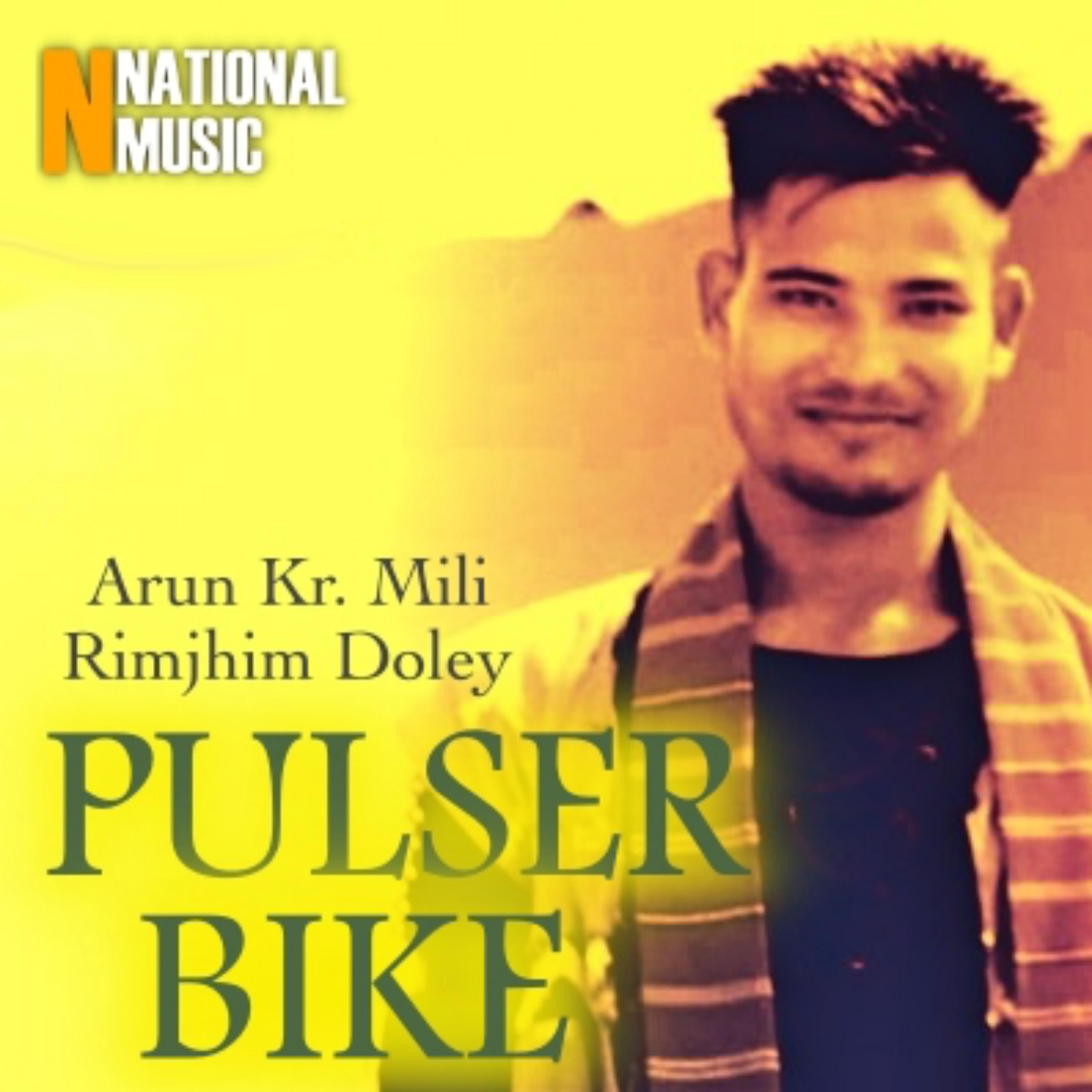Постер альбома Pulser Bike - Single