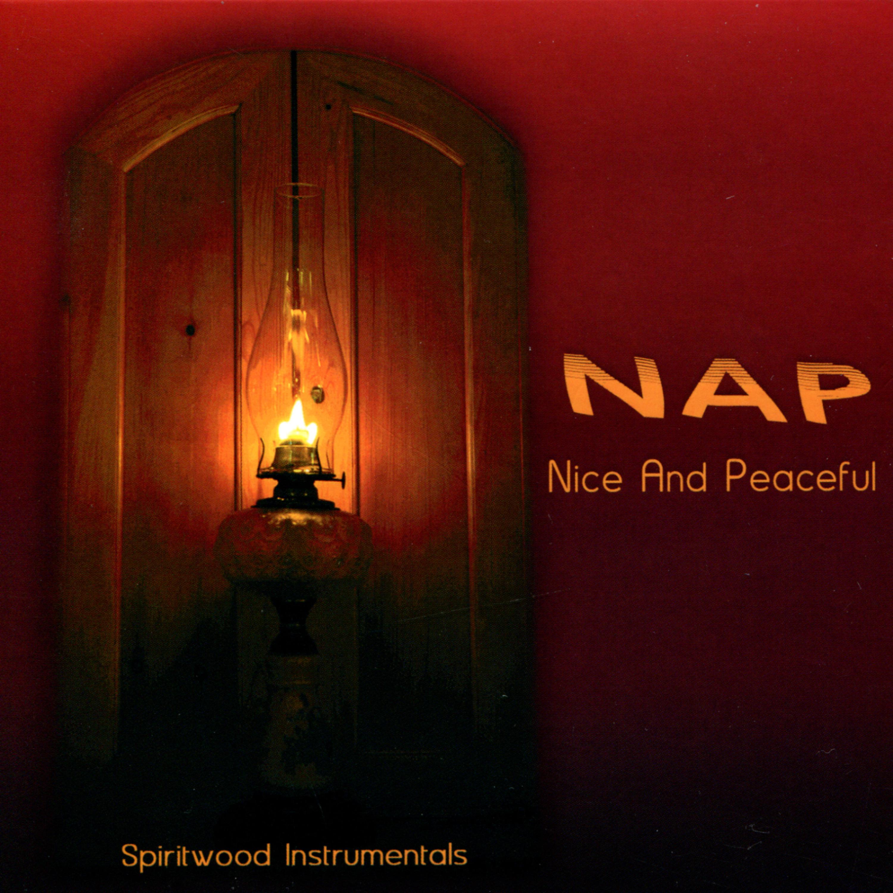 Постер альбома NAP - Nice And Peaceful