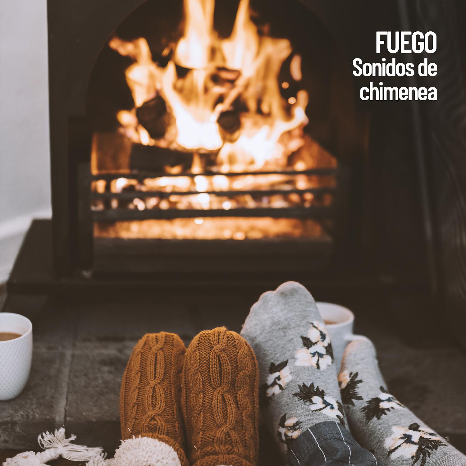 Постер альбома Fuego: Sonidos de chimenea