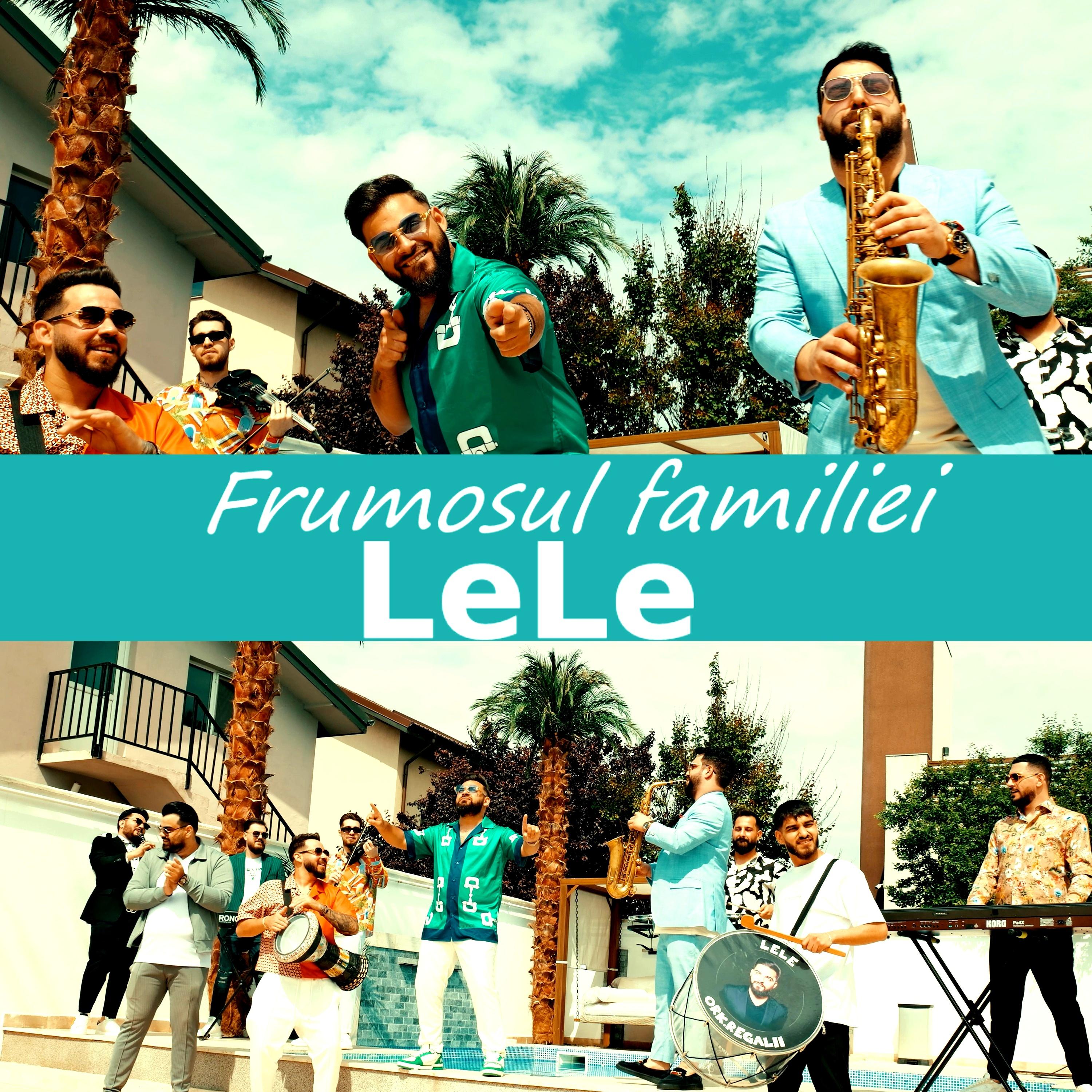 Постер альбома Frumosul Familiei