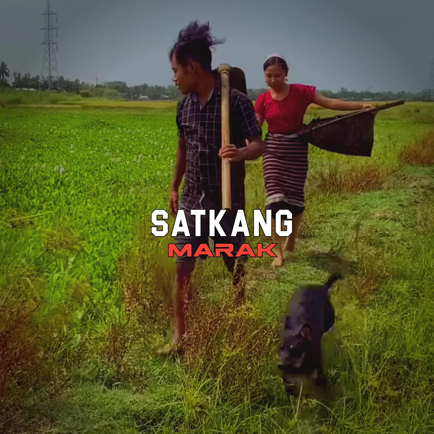Постер альбома Satkang