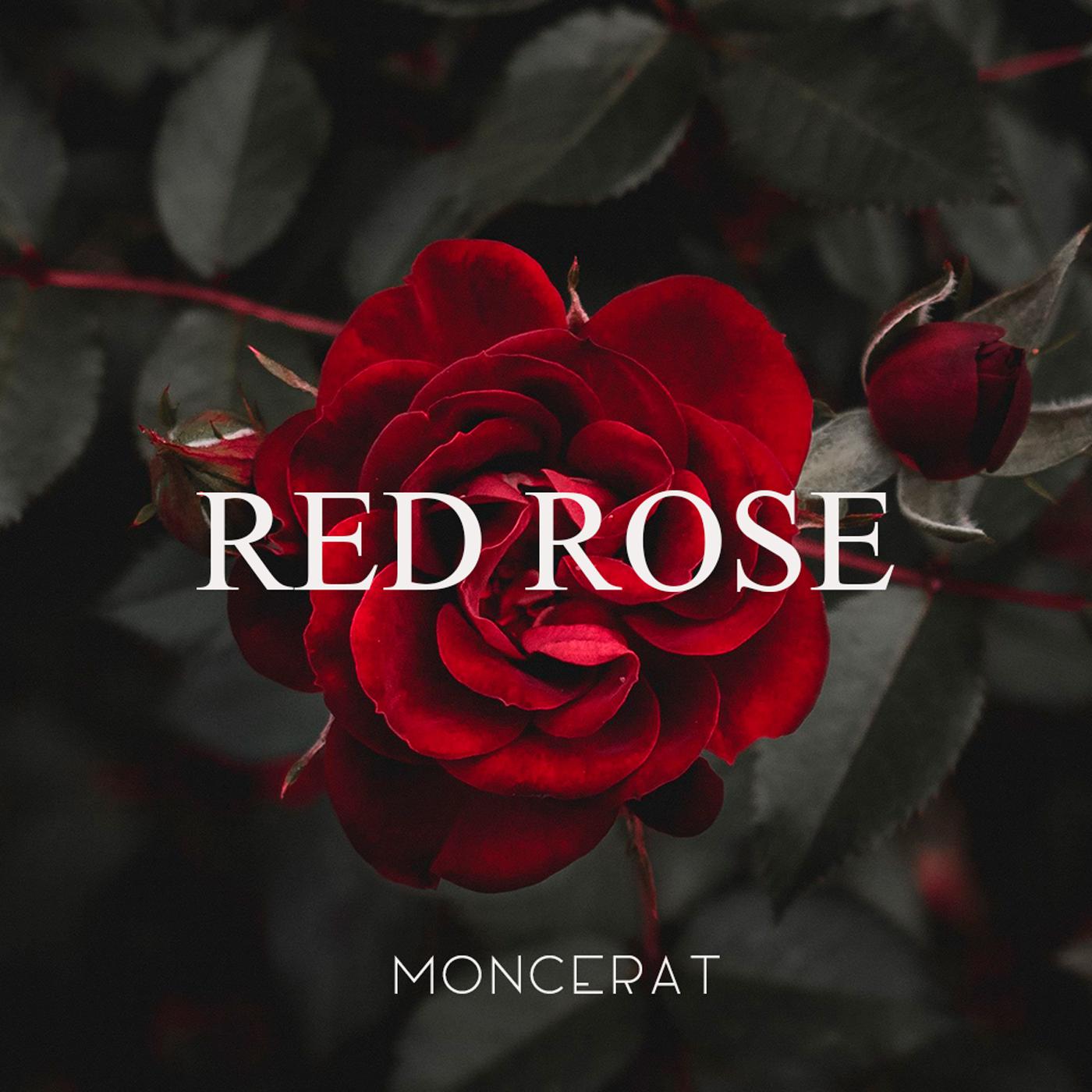 Постер альбома Red Rose