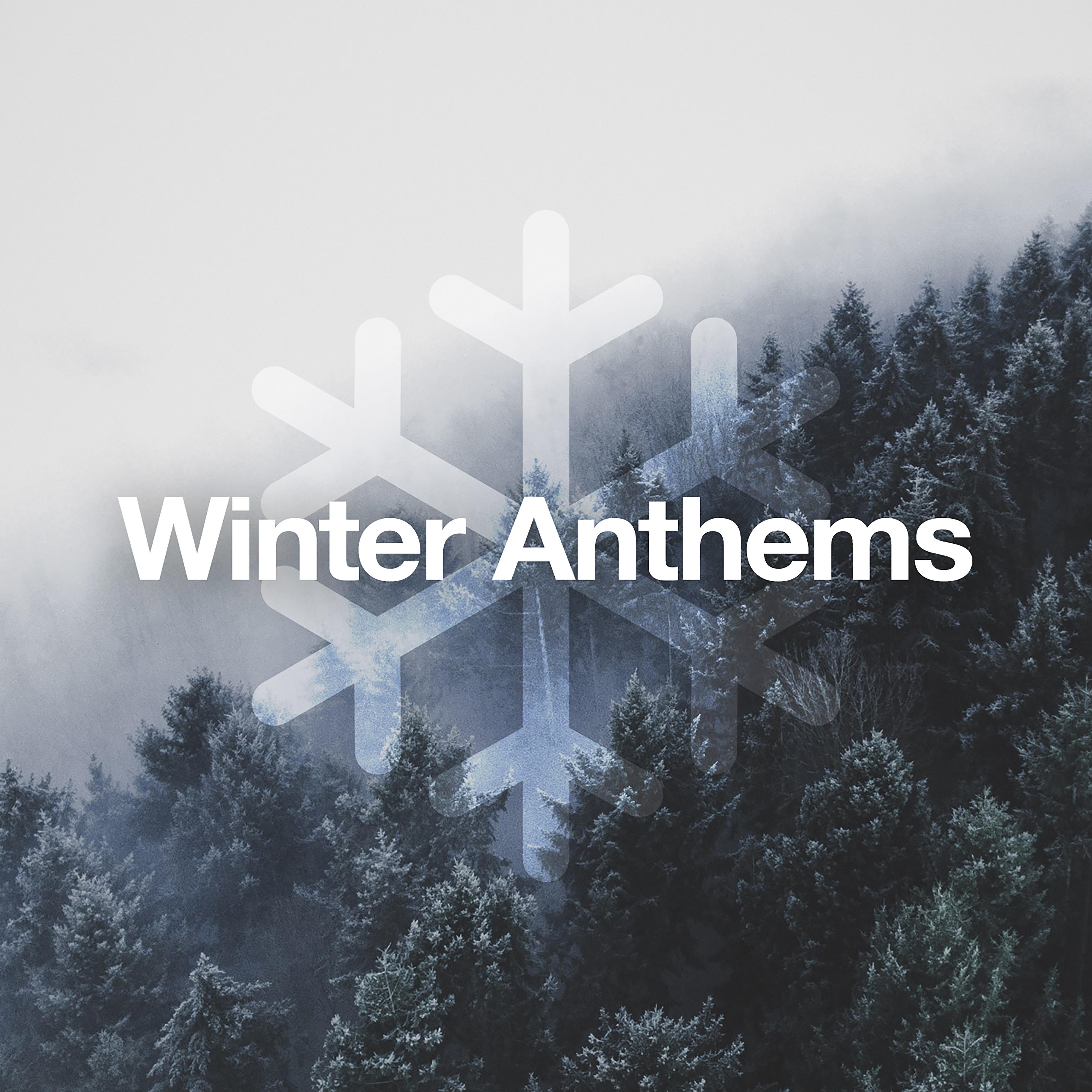Постер альбома Winter Anthems