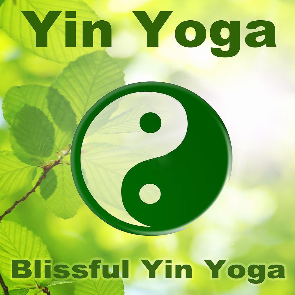 Постер альбома Blissful Yin Yoga (Restorative Yoga Sequence and Meditation)