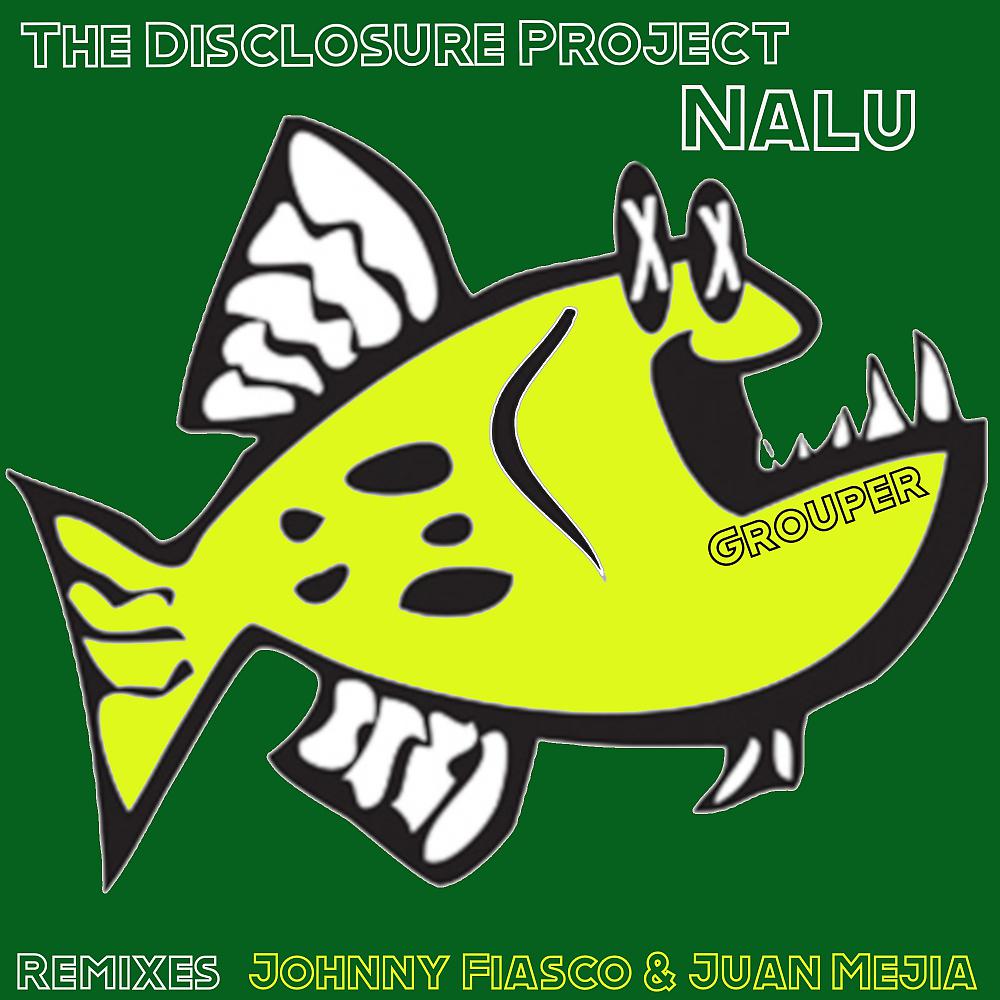 Постер альбома Nalu