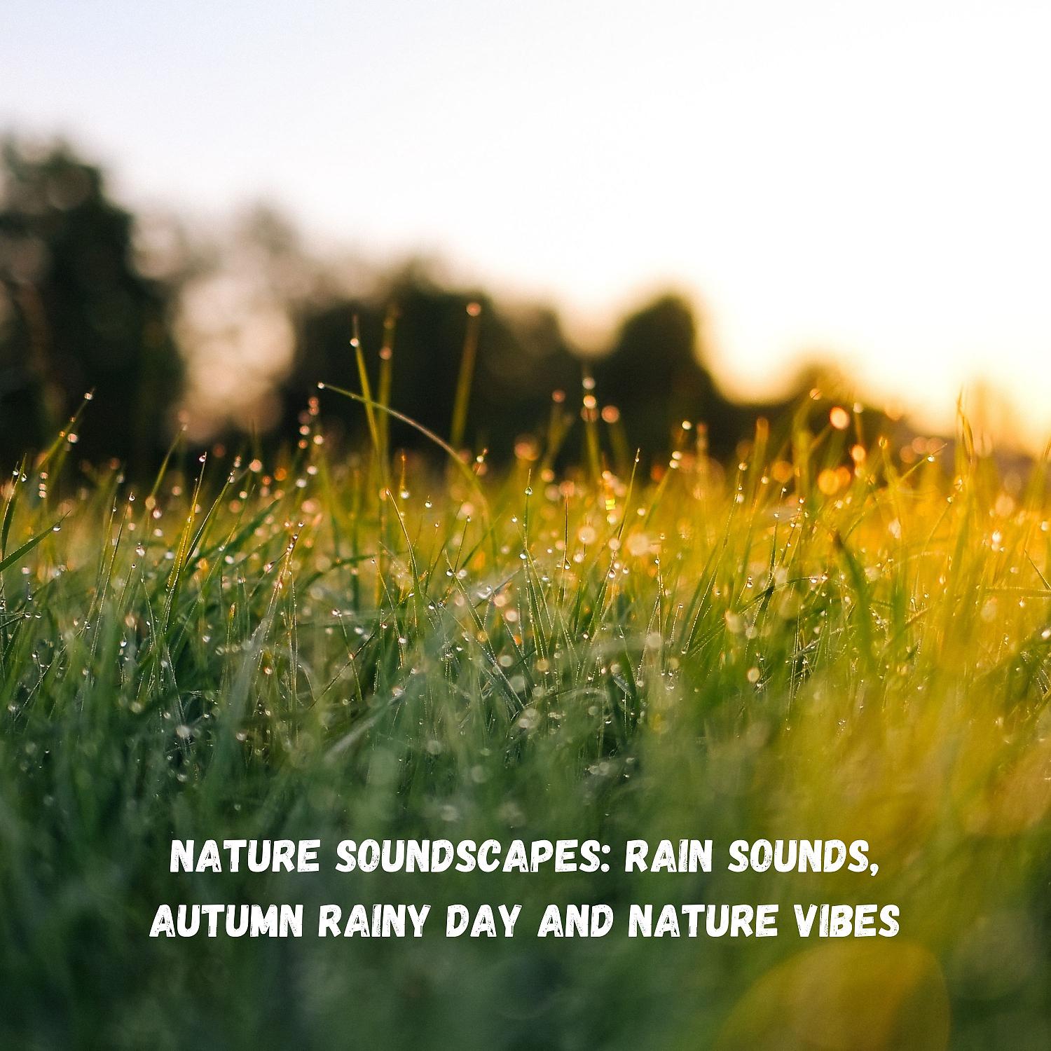 Постер альбома Nature Soundscapes: Rain Sounds, Autumn Rainy Day and Nature Vibes