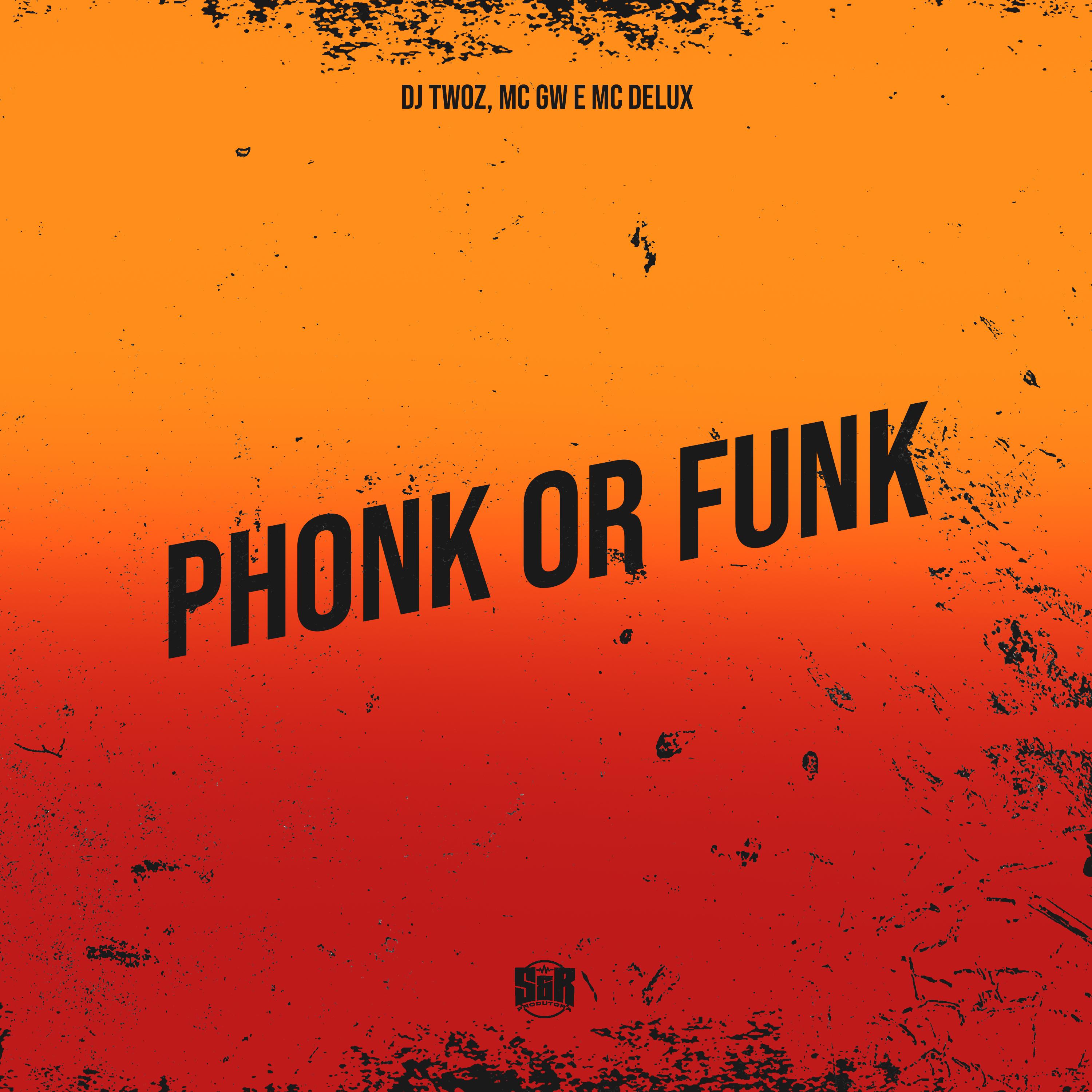 Постер альбома Phonk Or Funk