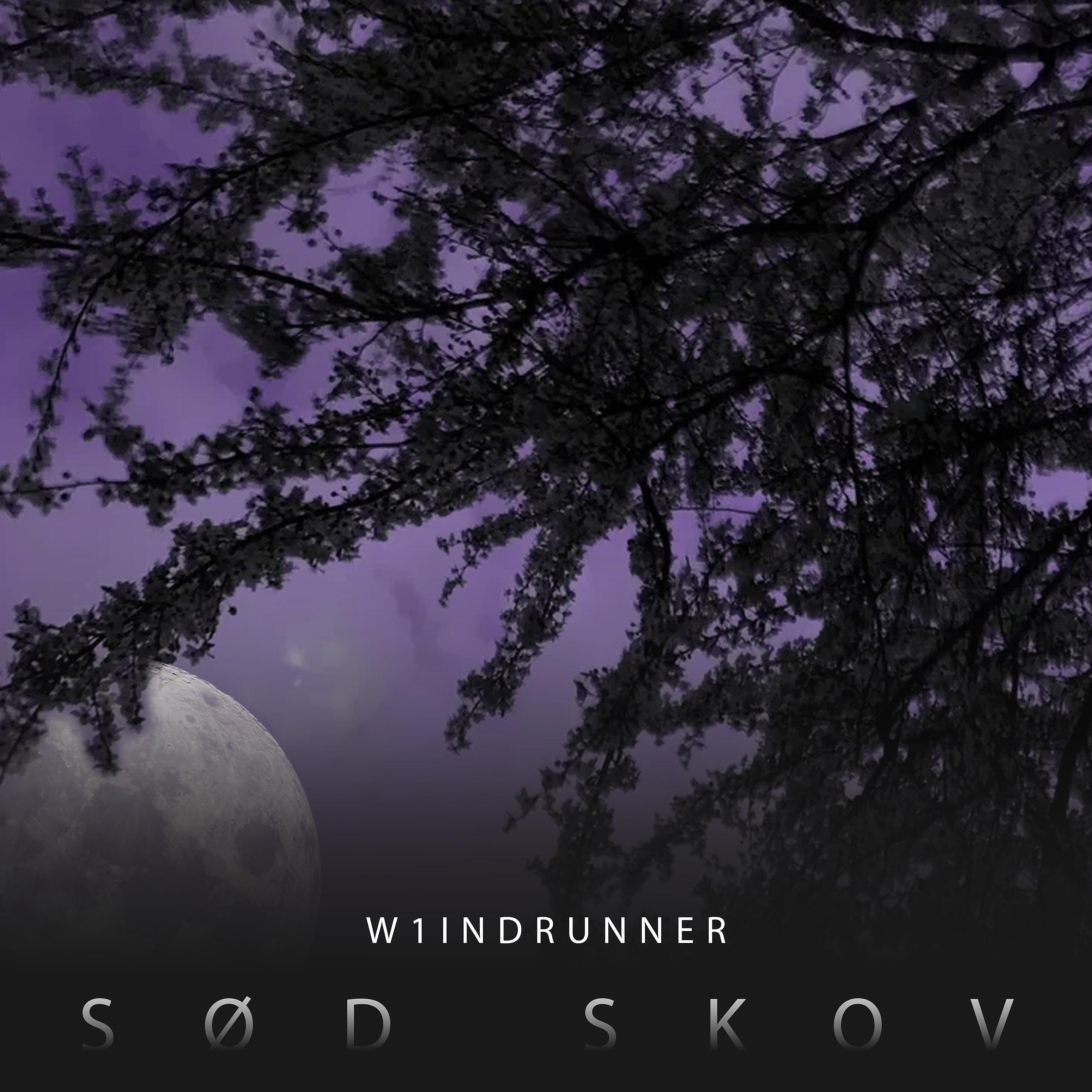 Постер альбома Sød Skov