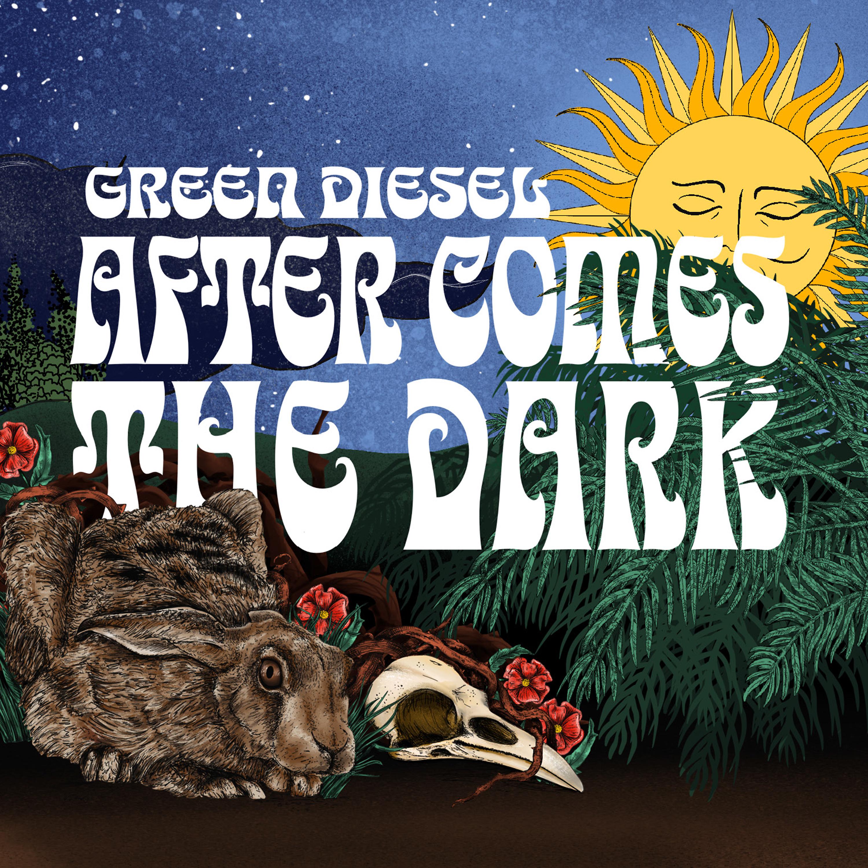 Постер альбома After Comes the Dark