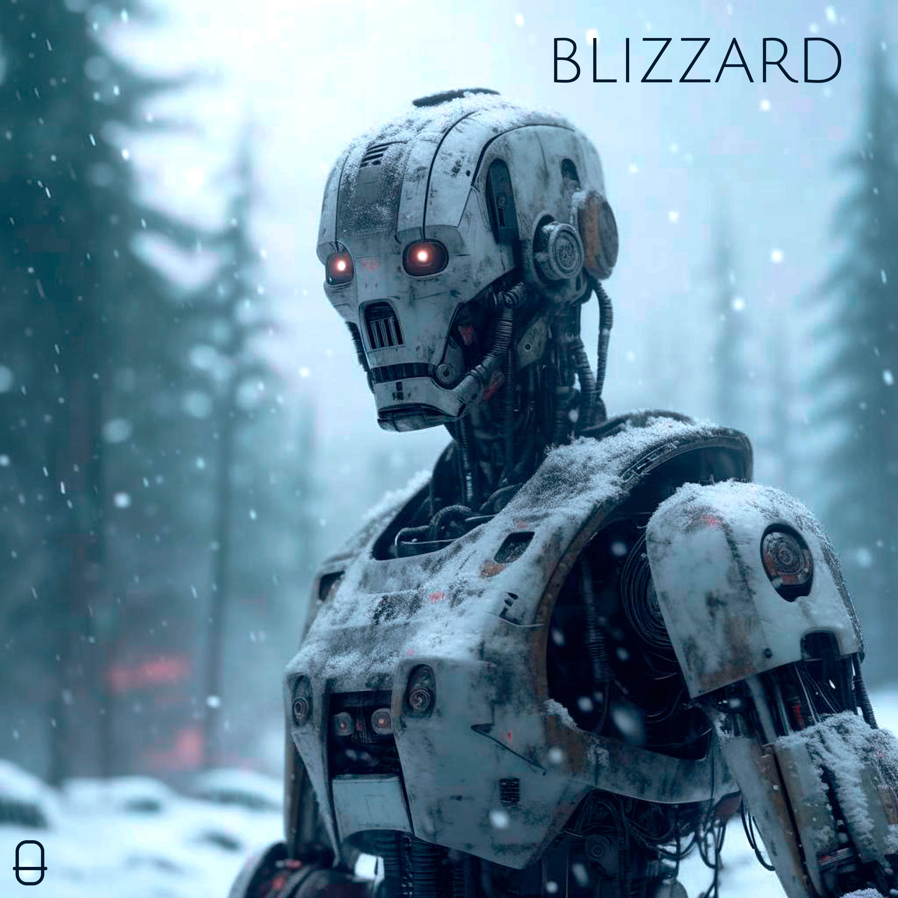 Постер альбома blizzard