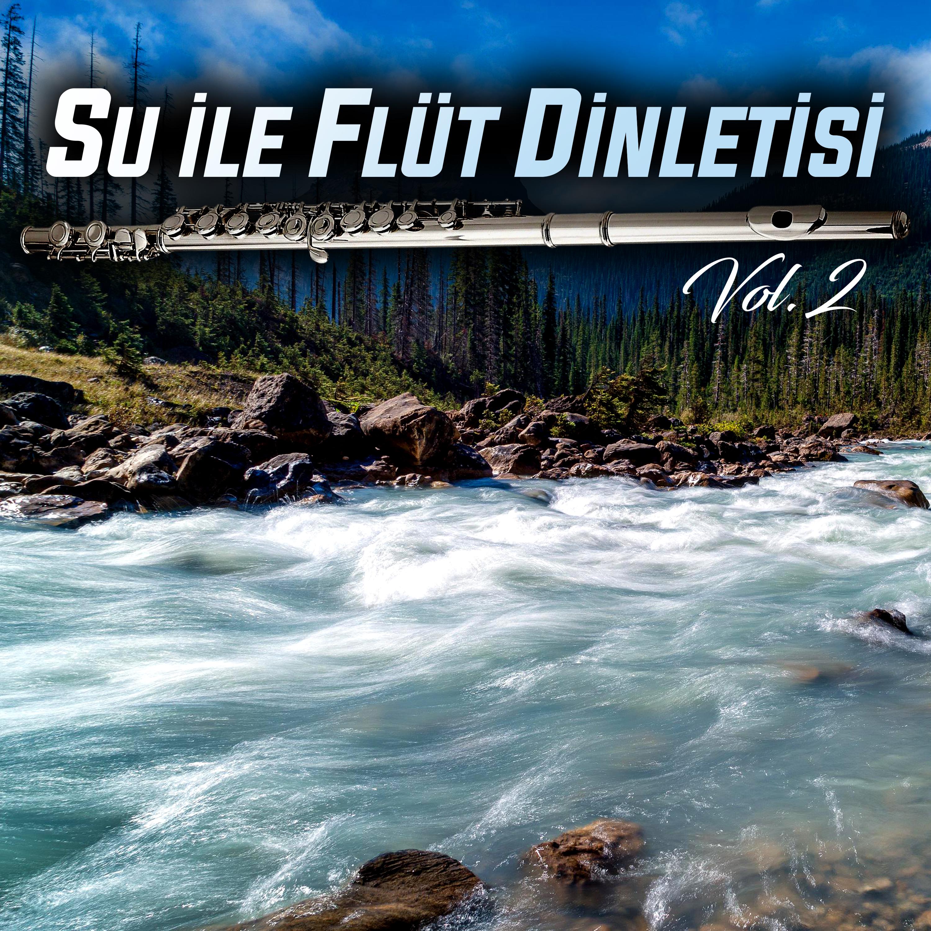 Постер альбома Su İle Flüt Dinletisi