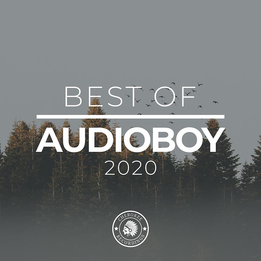 Постер альбома Best of Audioboy 2020