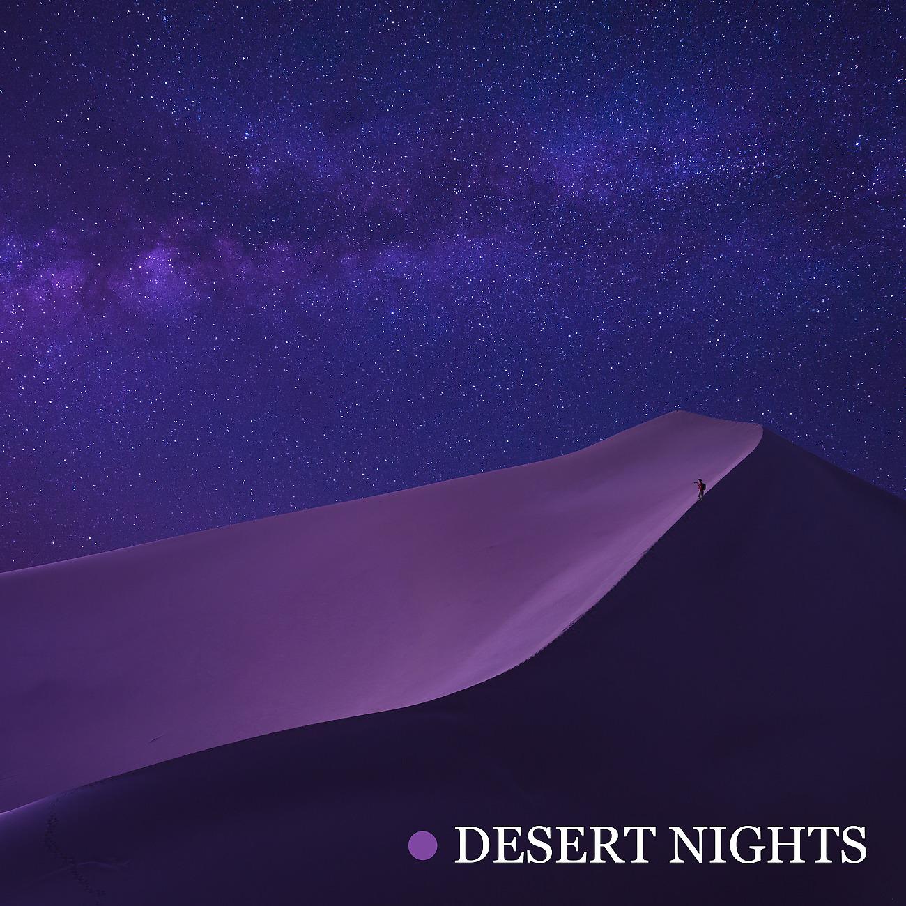 Постер альбома Desert Nights