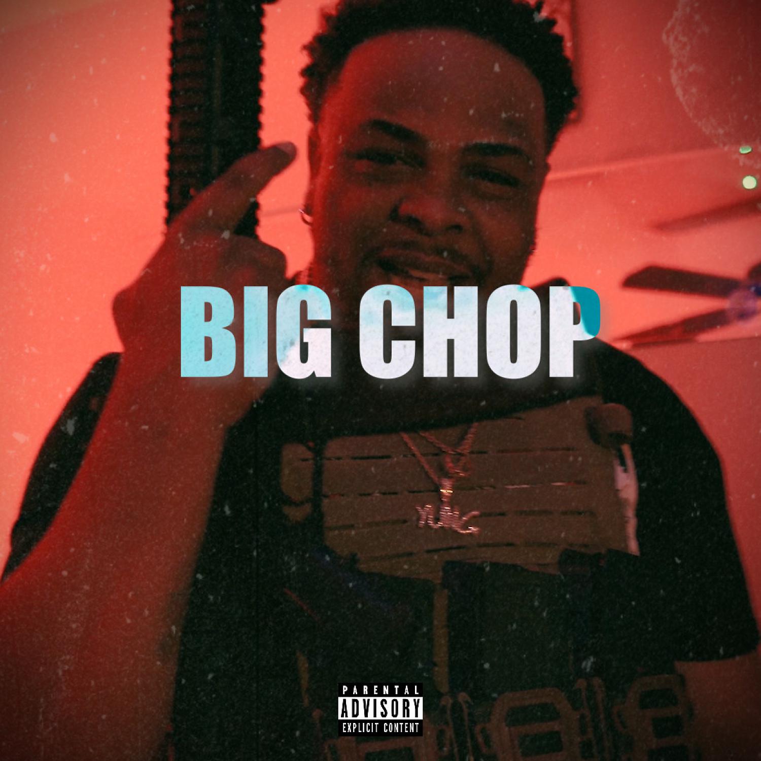 Постер альбома Big Chop