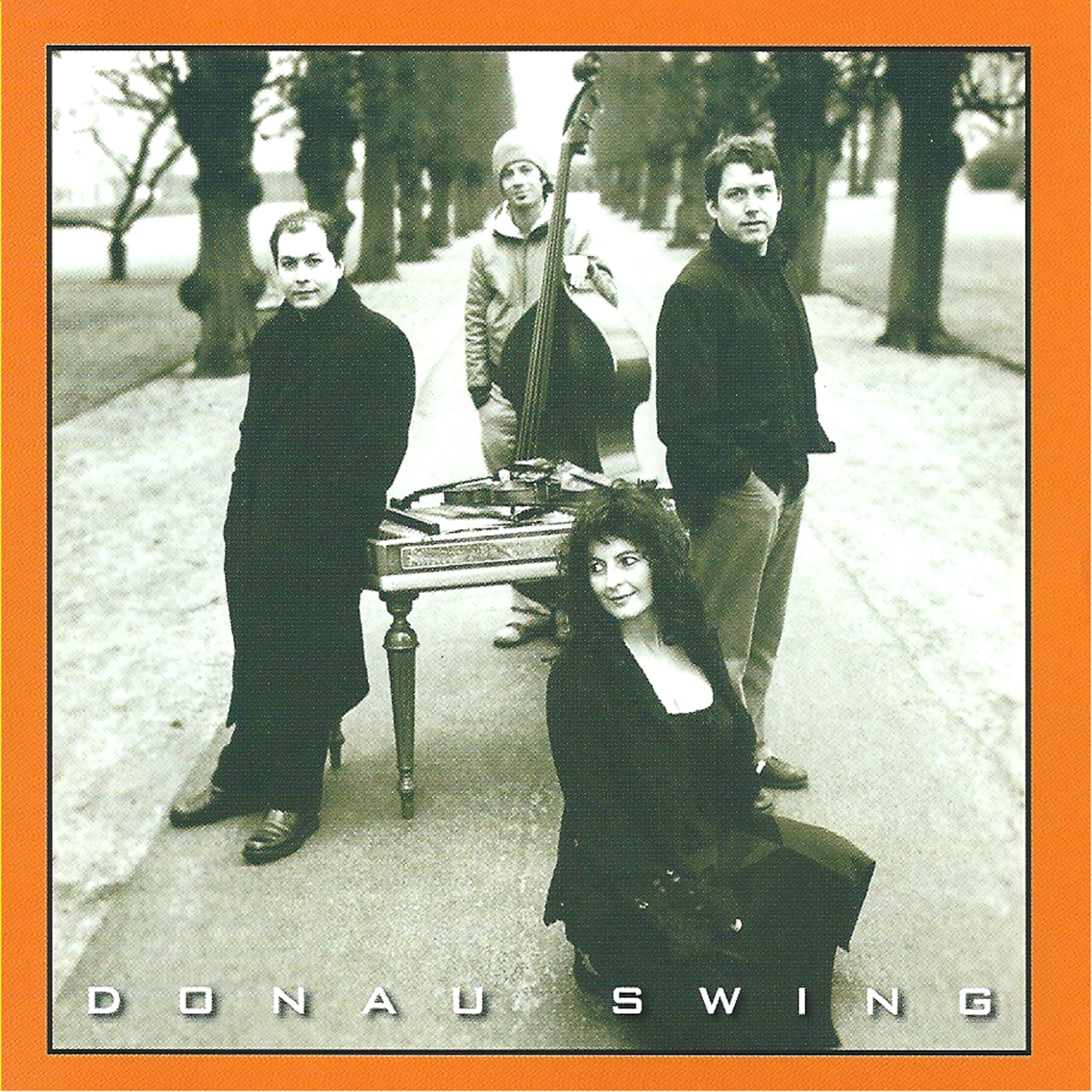 Постер альбома Donau Swing (feat. Kristian Jørgensen)
