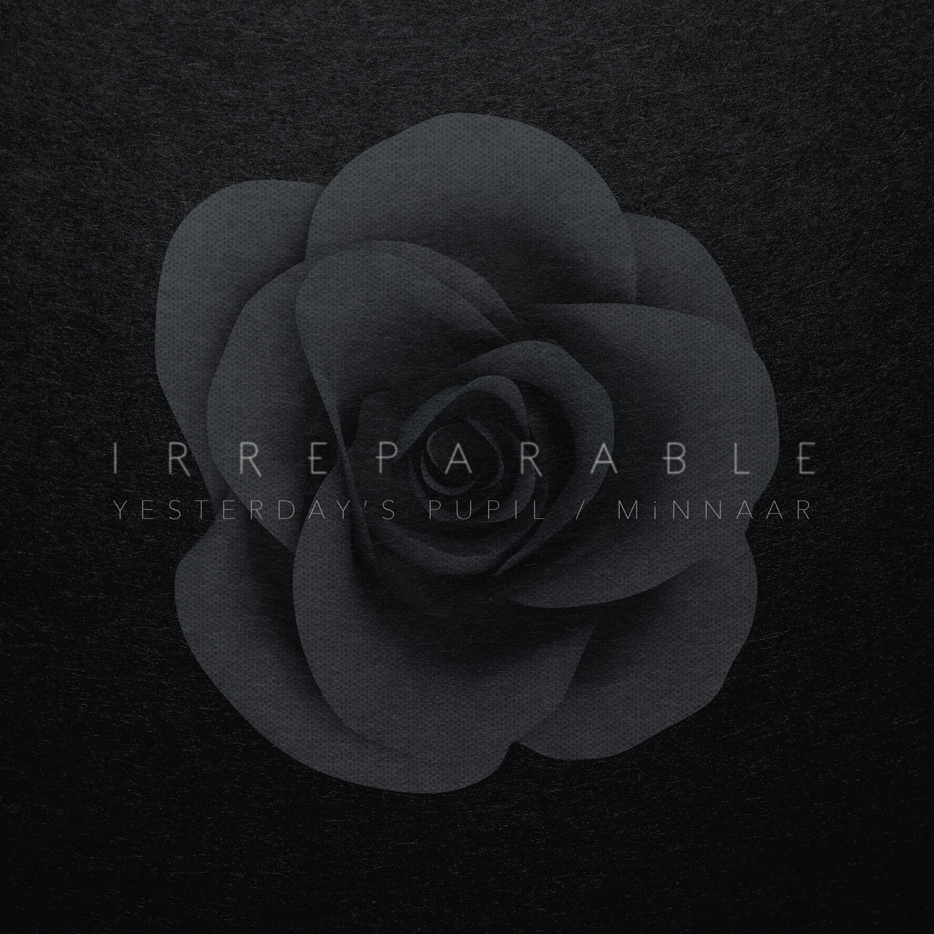 Постер альбома Irreparable