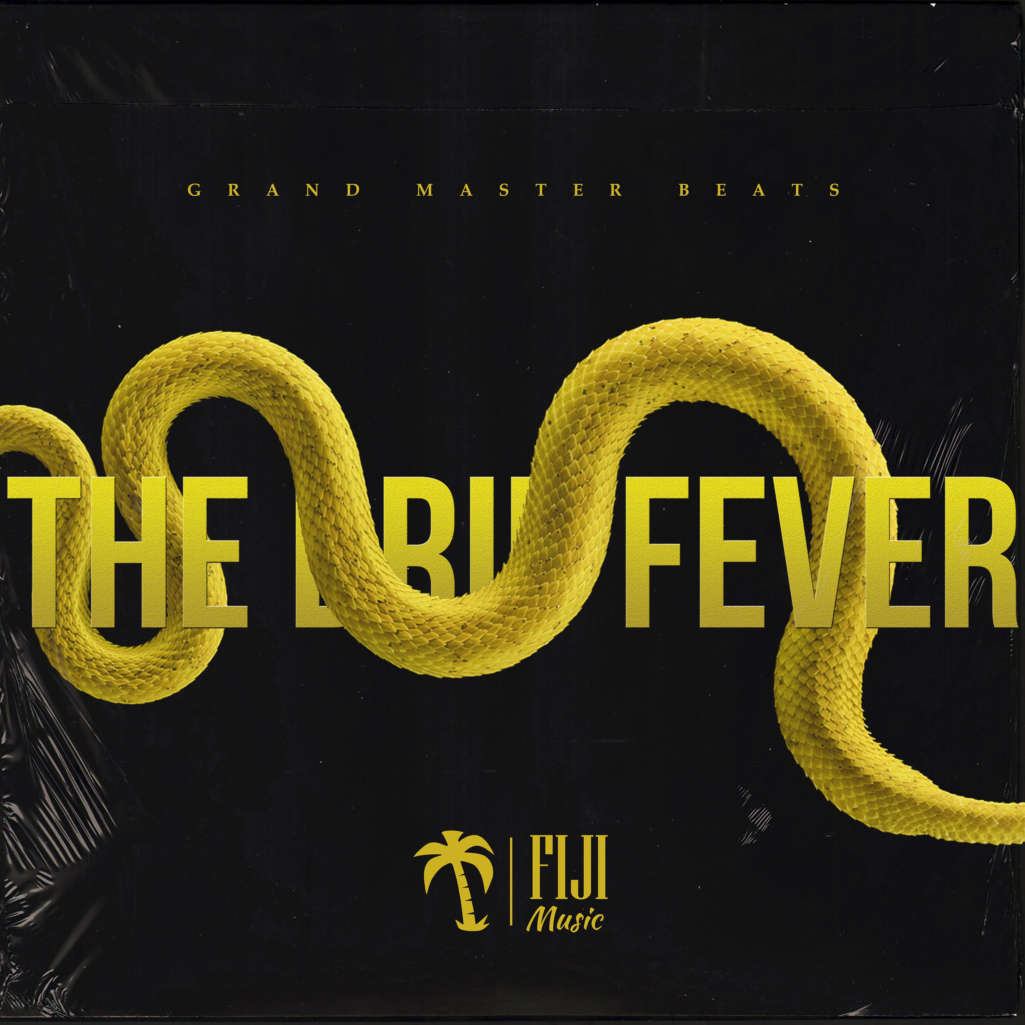 Постер альбома The Drip Fever