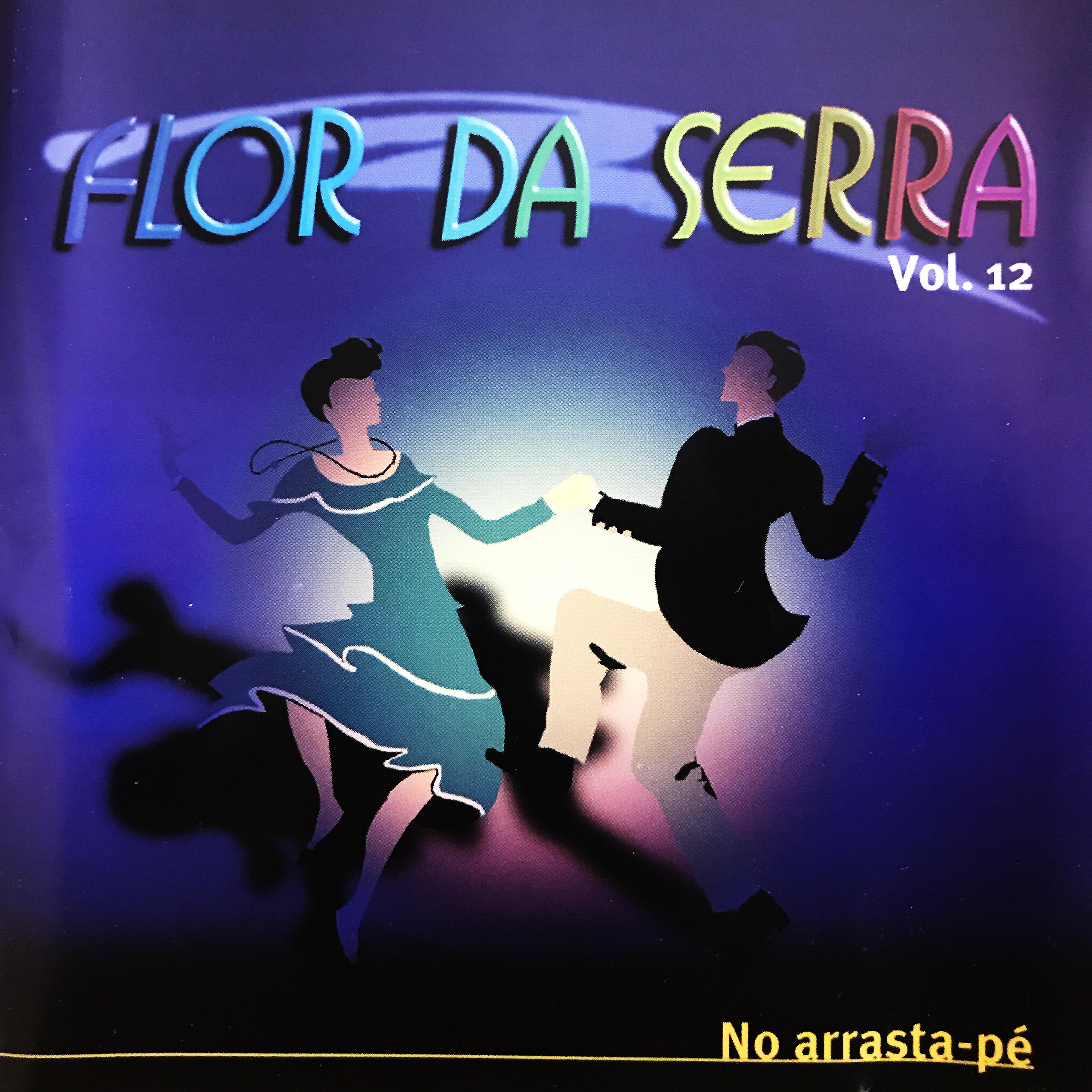 Постер альбома No Arrasta-Pé, Vol. 12