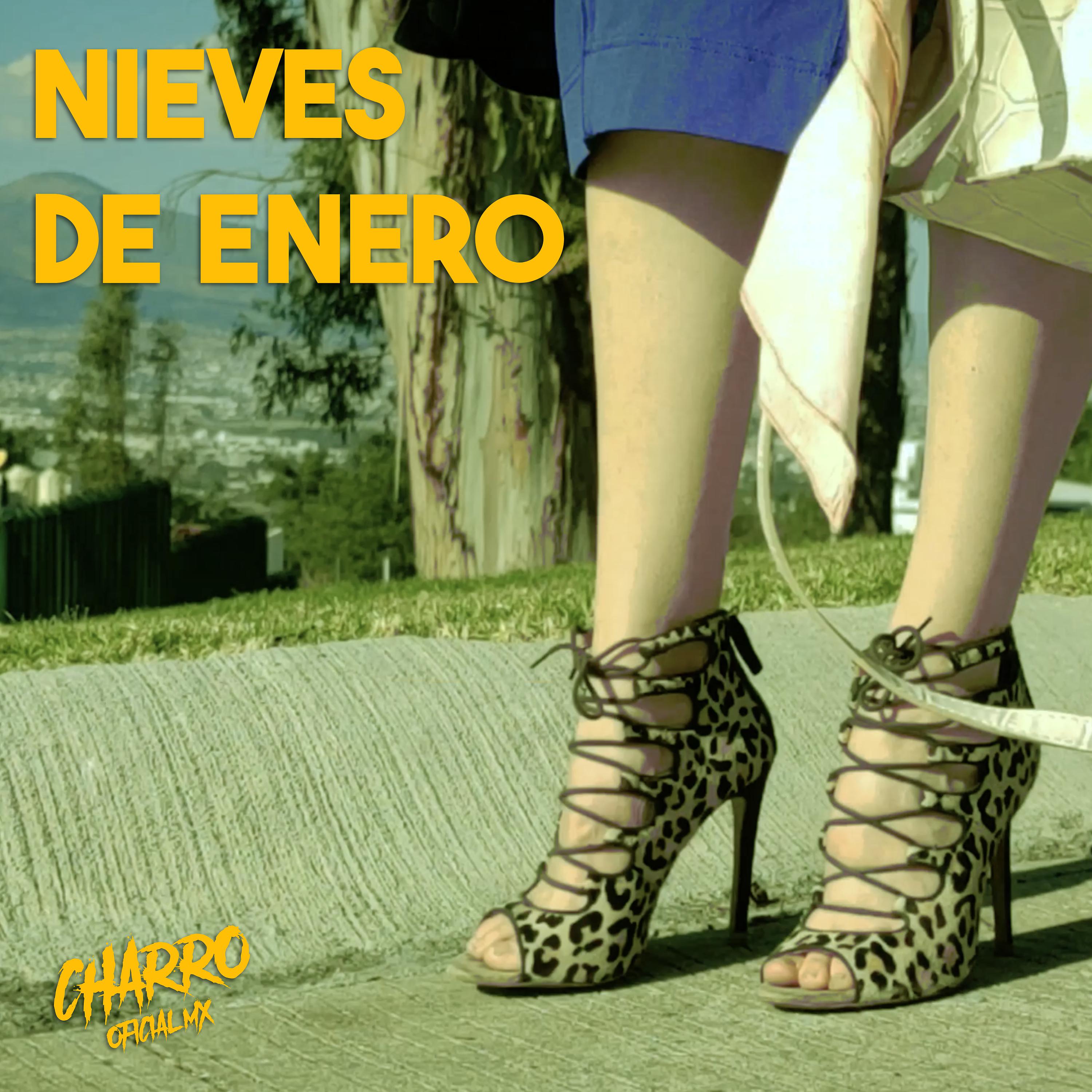 Постер альбома Nieves de Enero