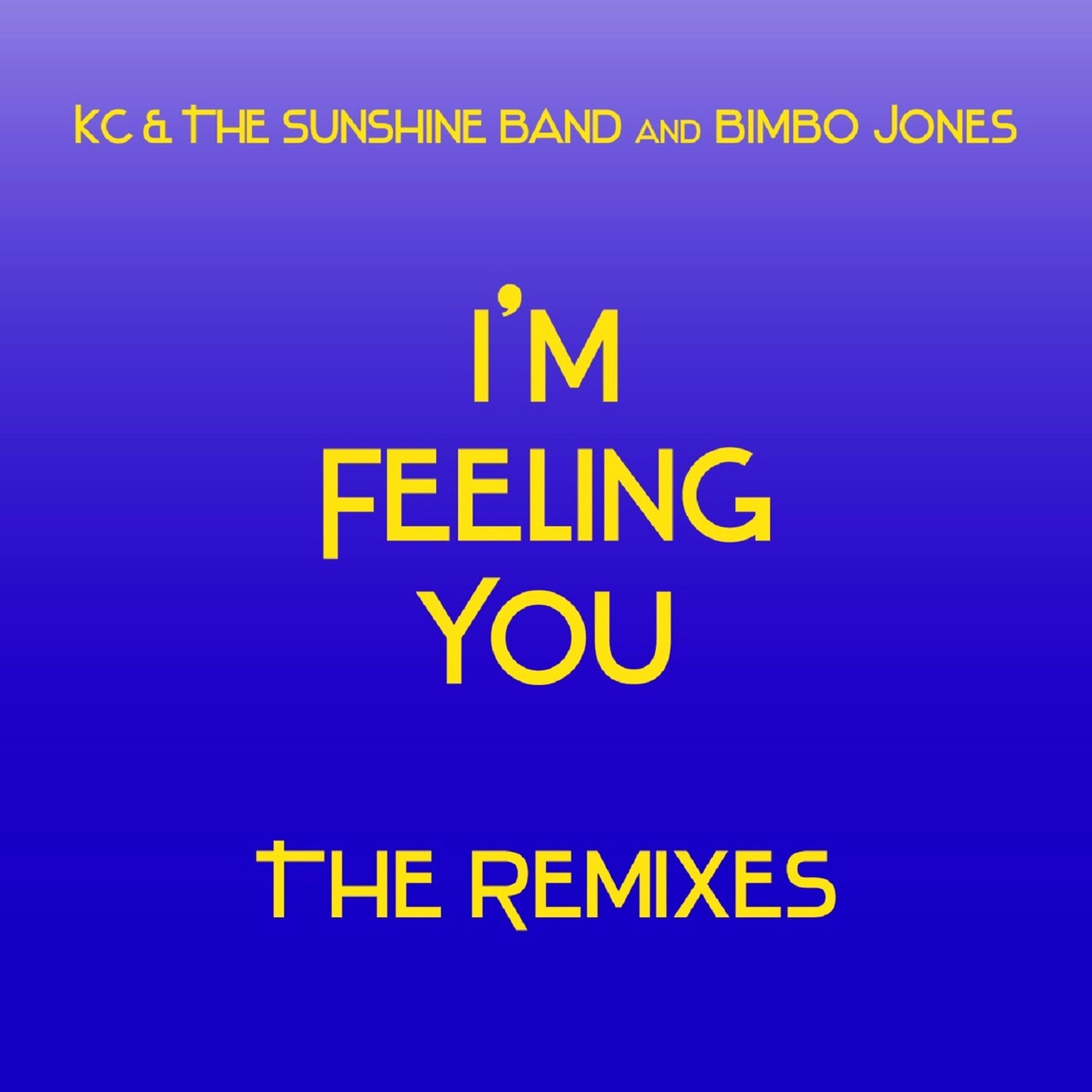 Постер альбома I'm Feeling You - The Remixes