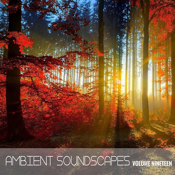 Постер альбома Ambient SoundScapes, Vol. 19