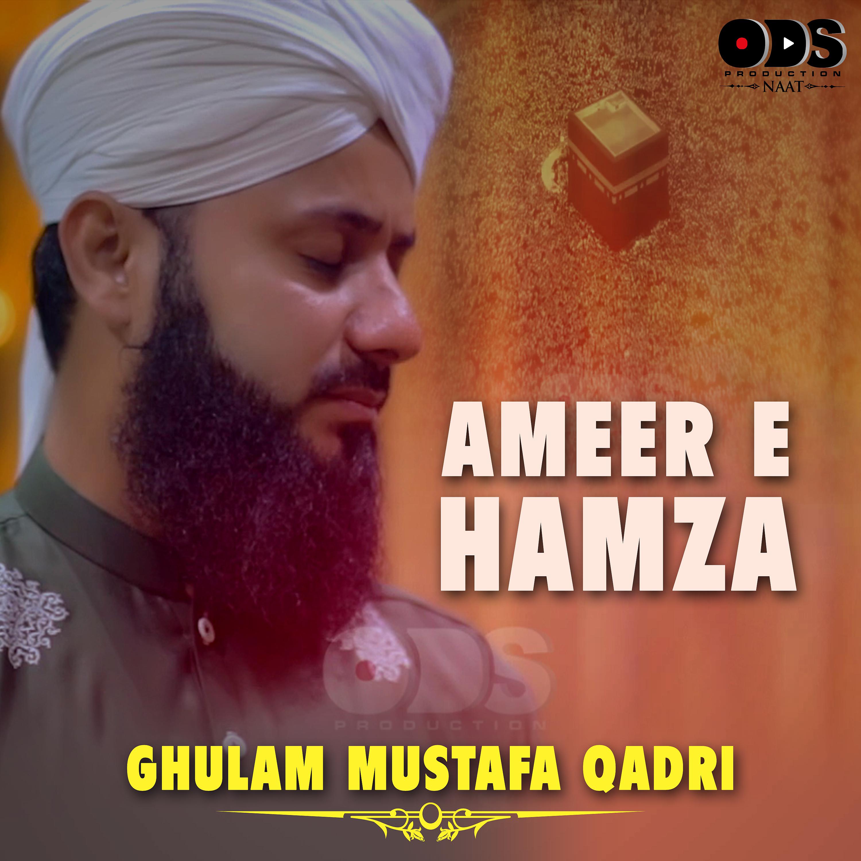Постер альбома Ameer E Hamza