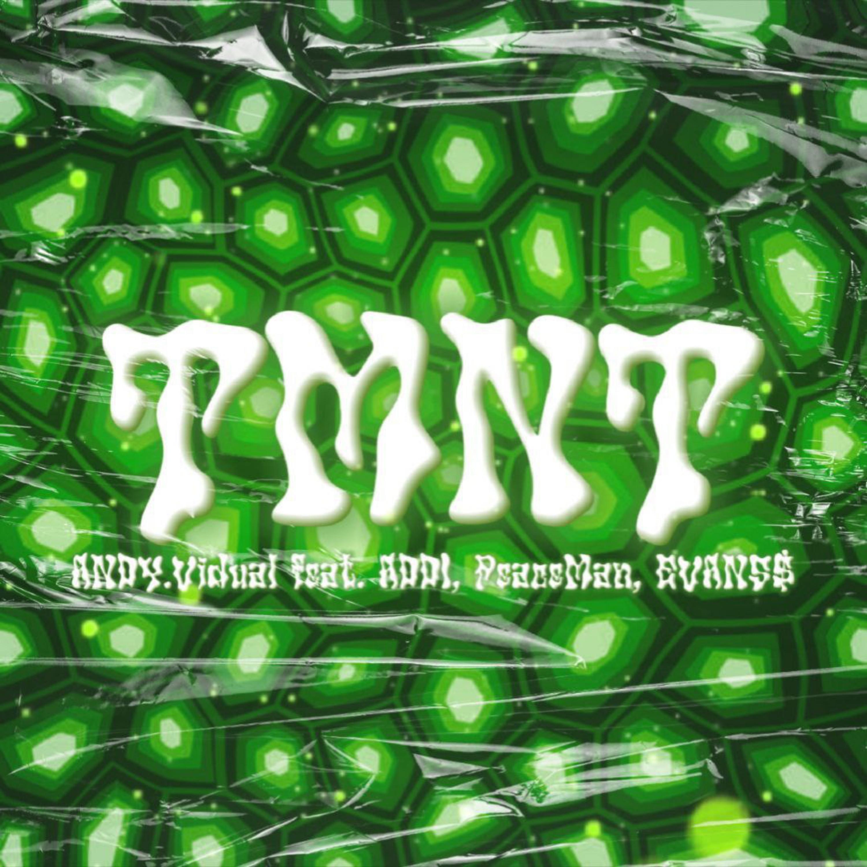 Постер альбома Tmnt (feat. Addy, Peaceman, EVANS$)