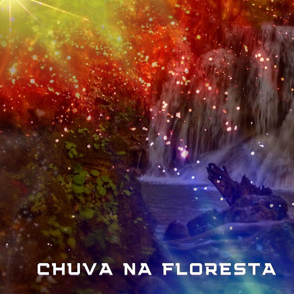 Постер альбома Chuva na Floresta