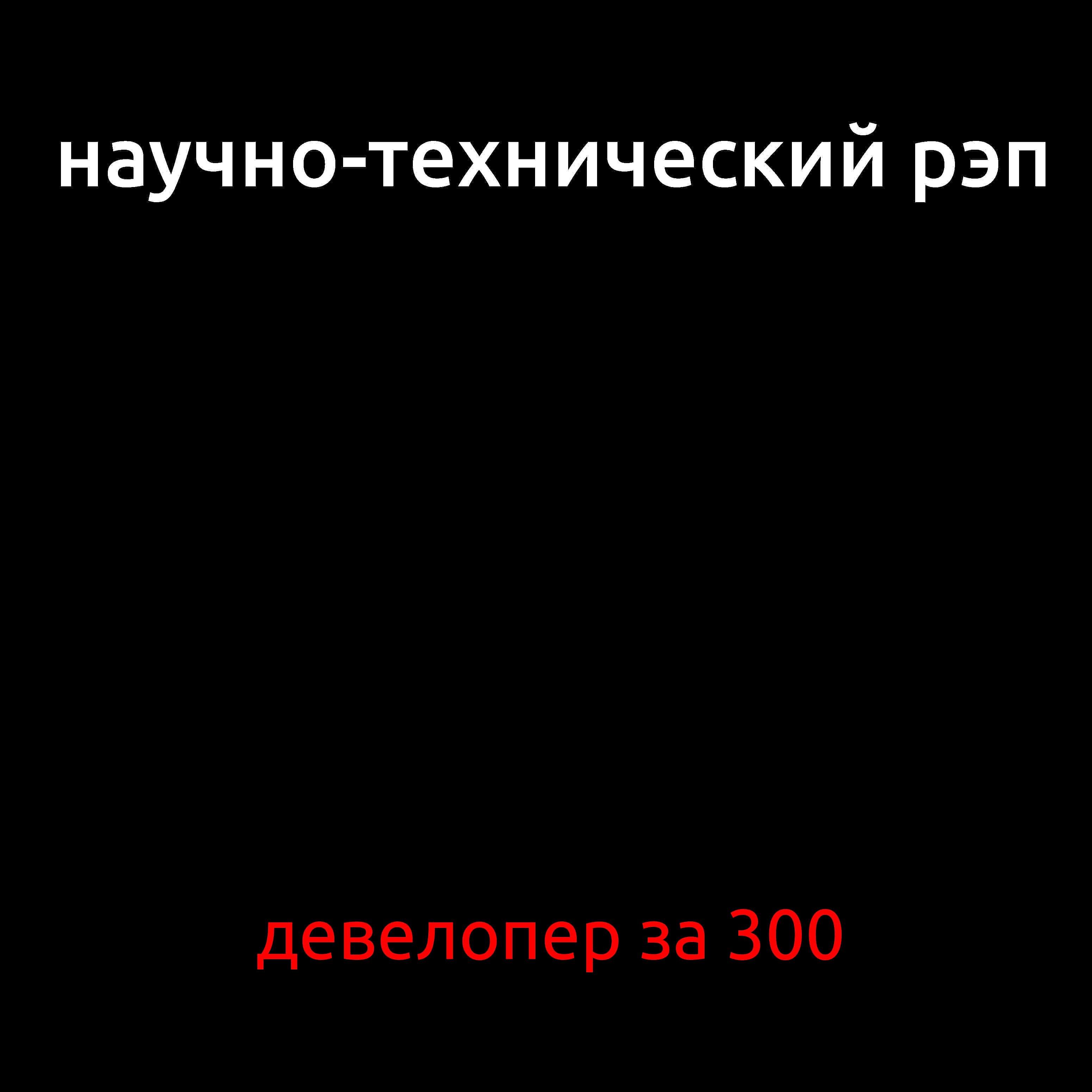 Постер альбома Девелопер за 300