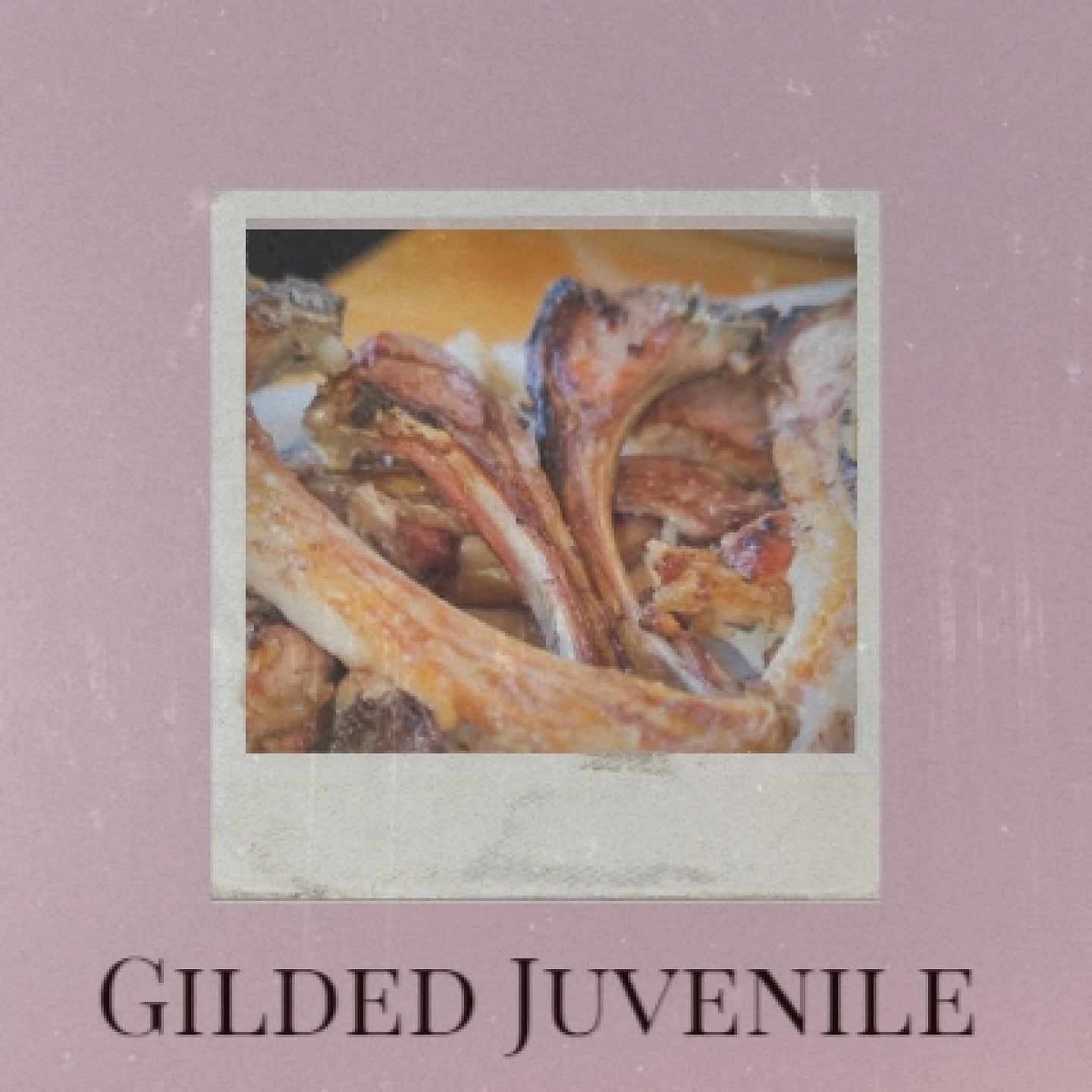 Постер альбома Gilded Juvenile