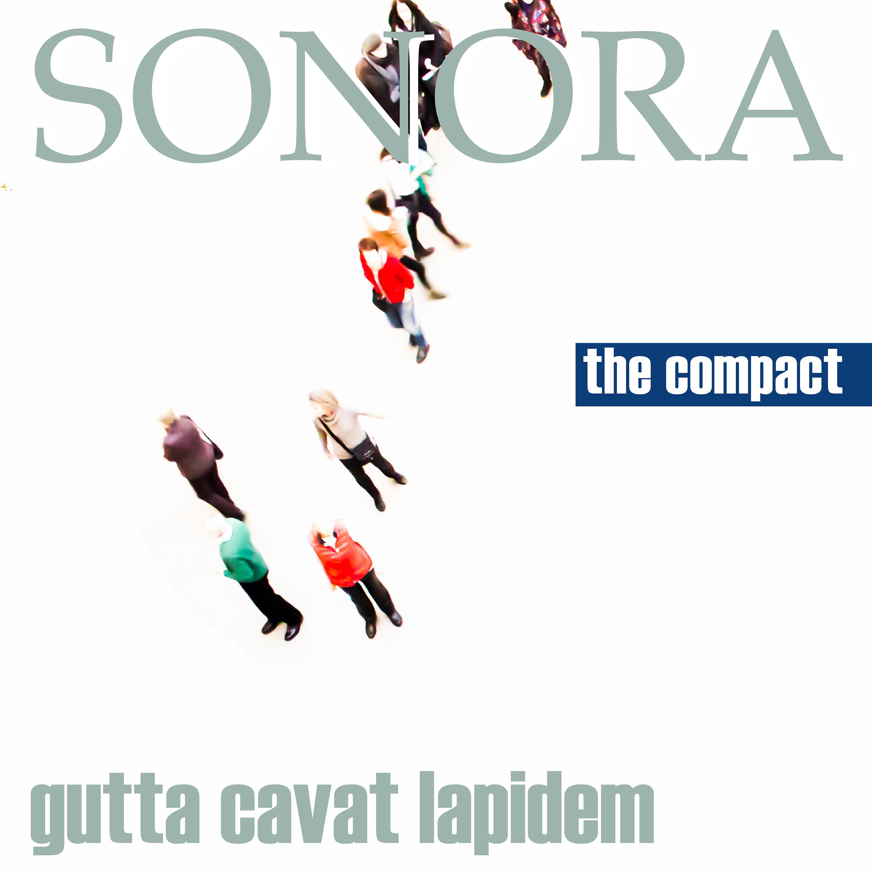 Постер альбома Sonora - Gutta Cavat Lapidem