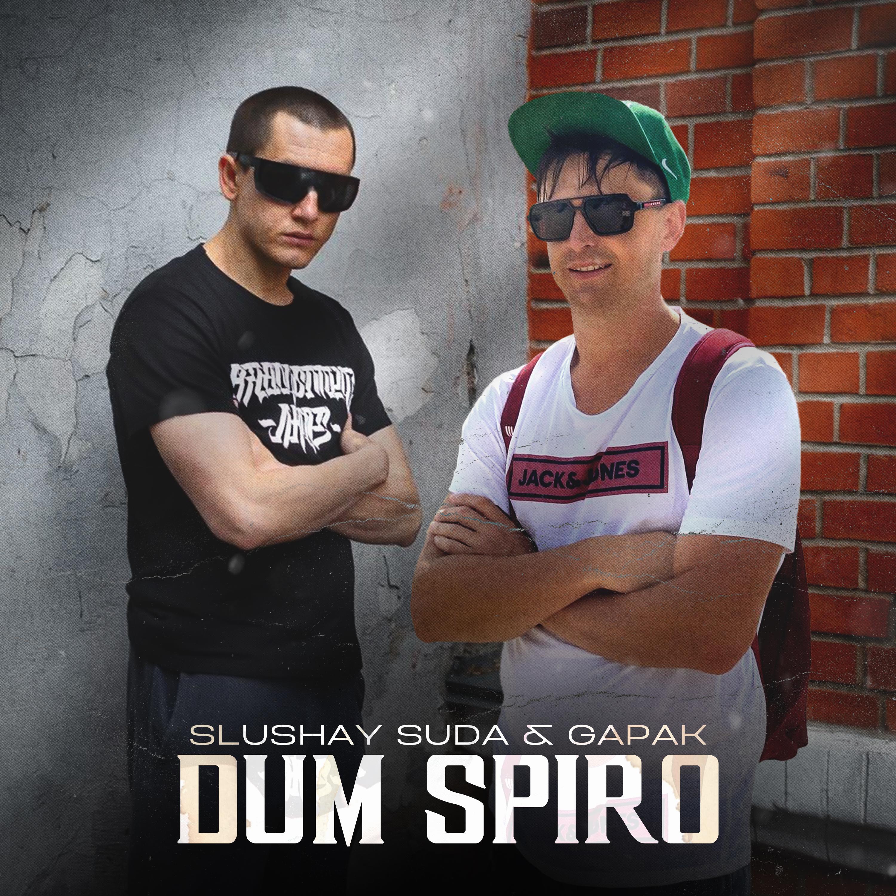 Постер альбома Dum Spiro