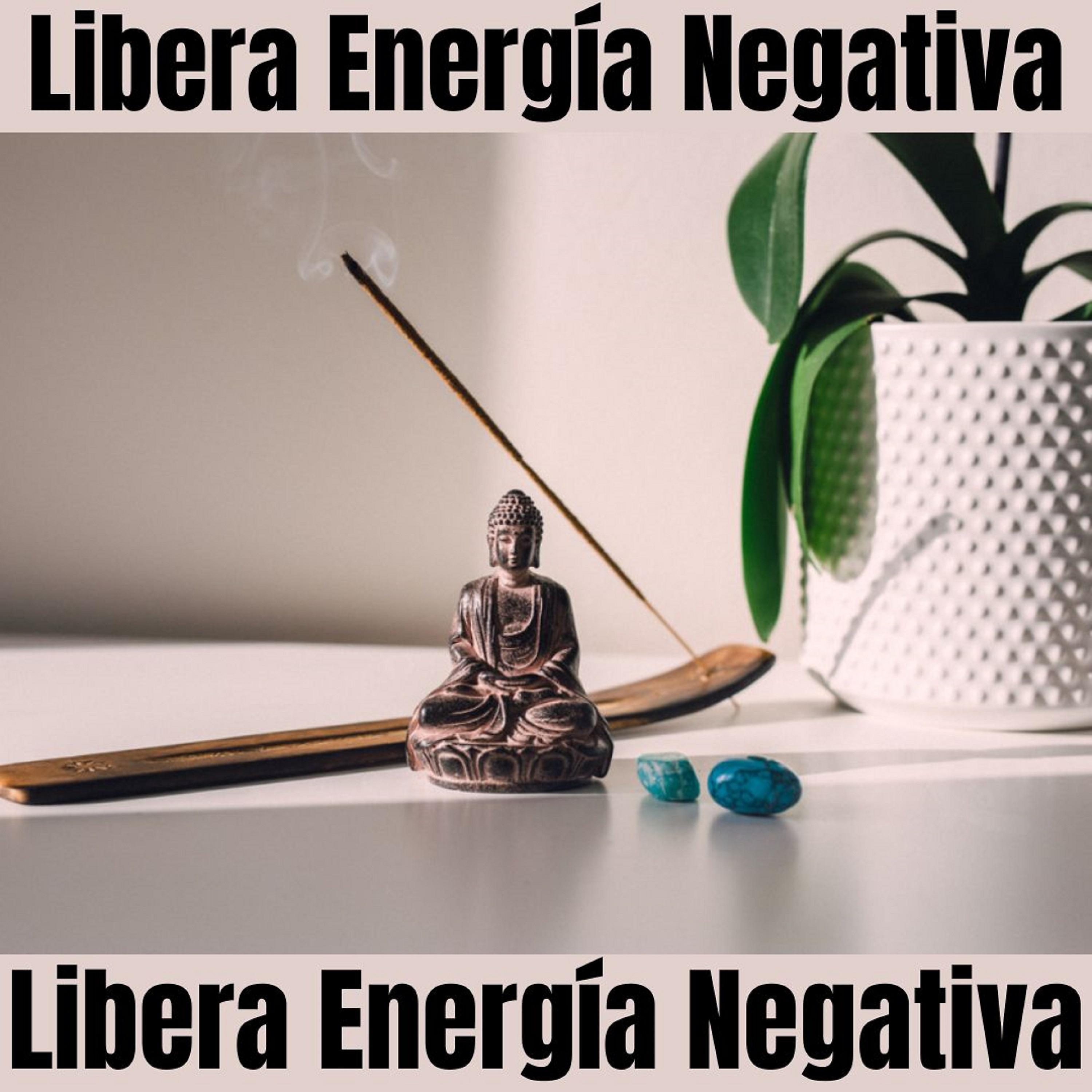 Постер альбома Libera Energía Negativa