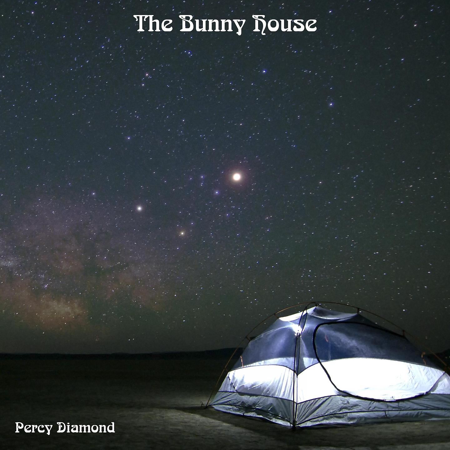 Постер альбома The Bunny House