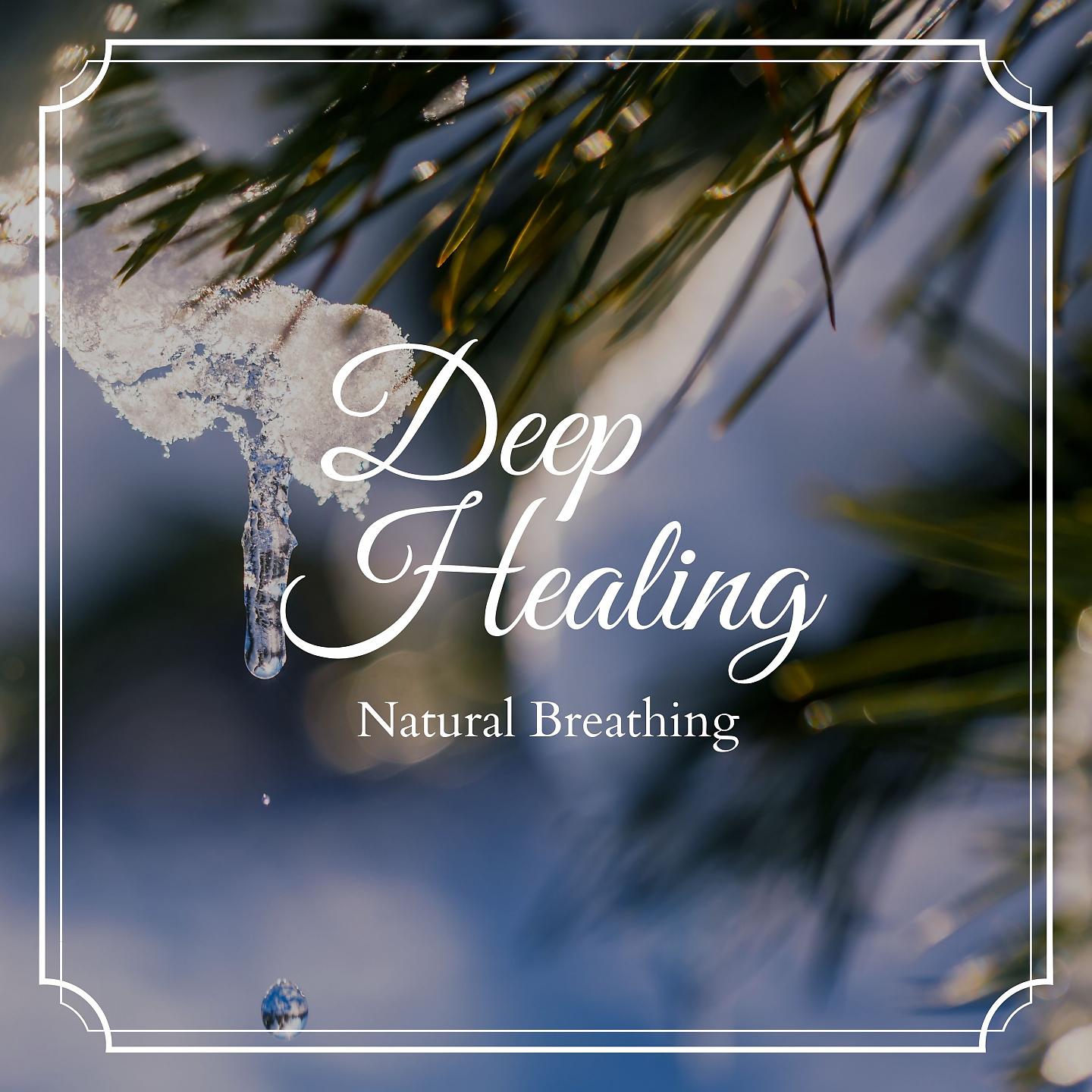 Постер альбома Deep Healing - Natural Breathing
