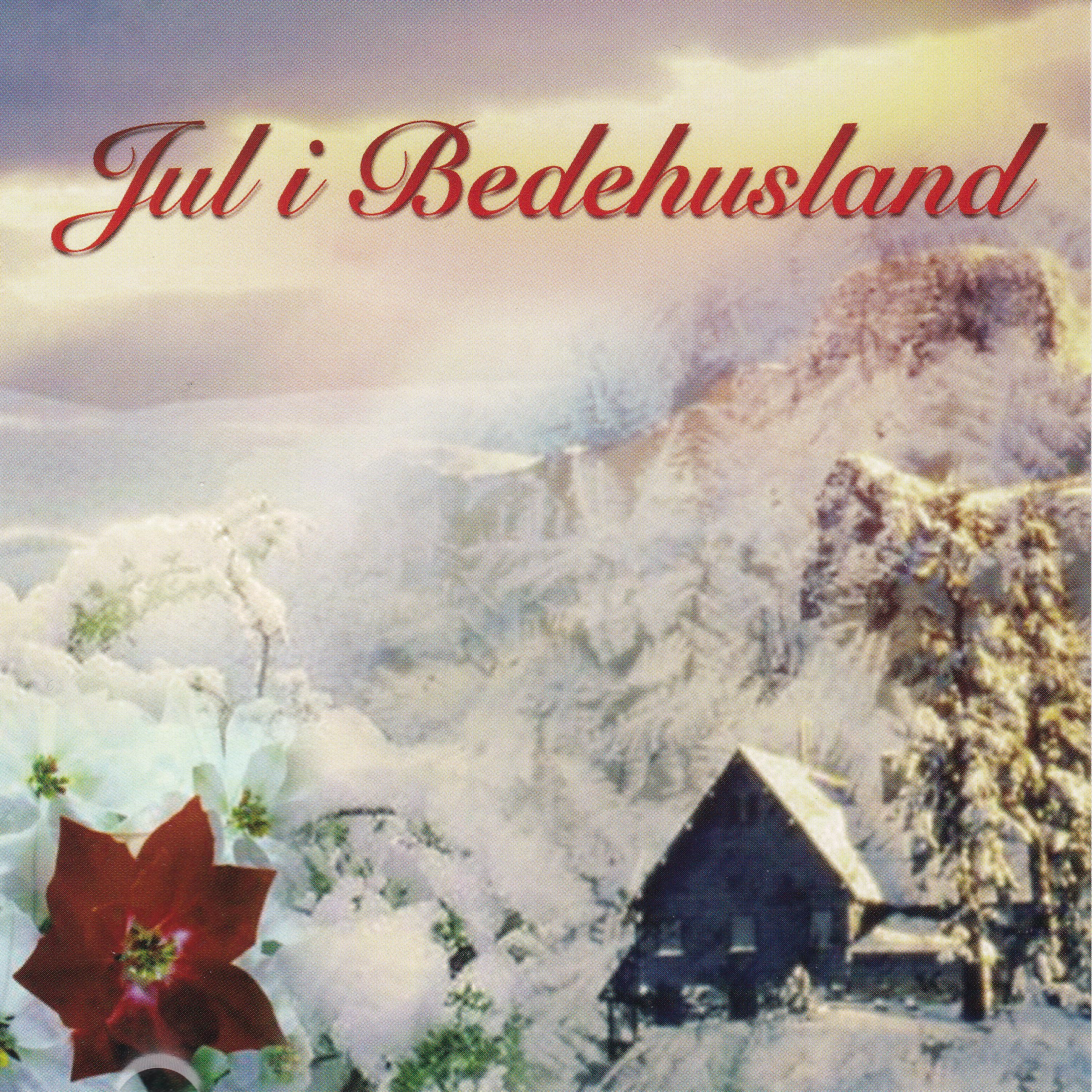 Постер альбома Jul i Bedehusland