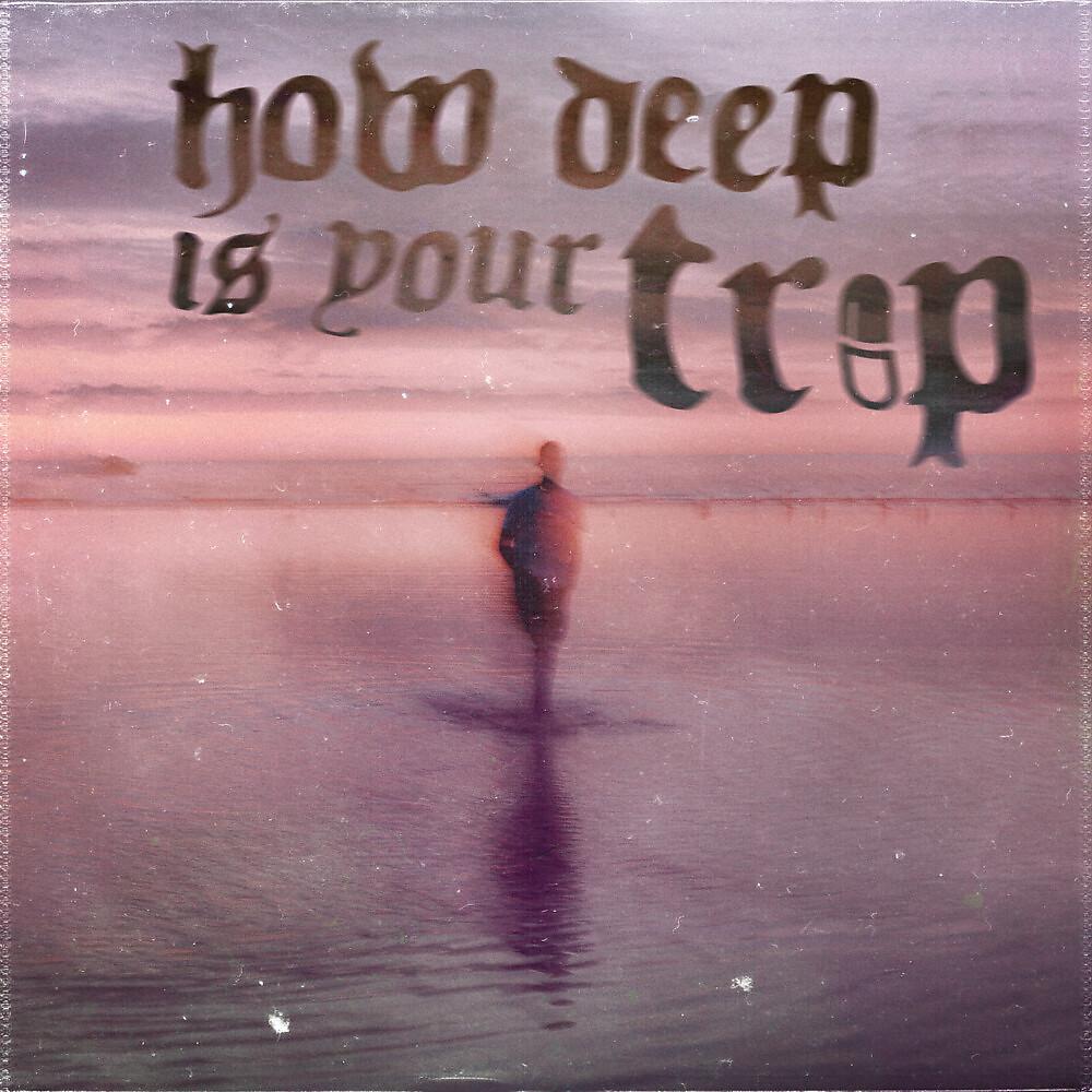 Постер альбома How Deep Is Your Trip