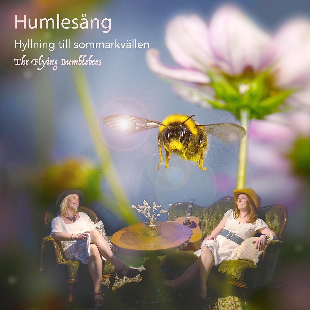 Постер альбома Humlesång