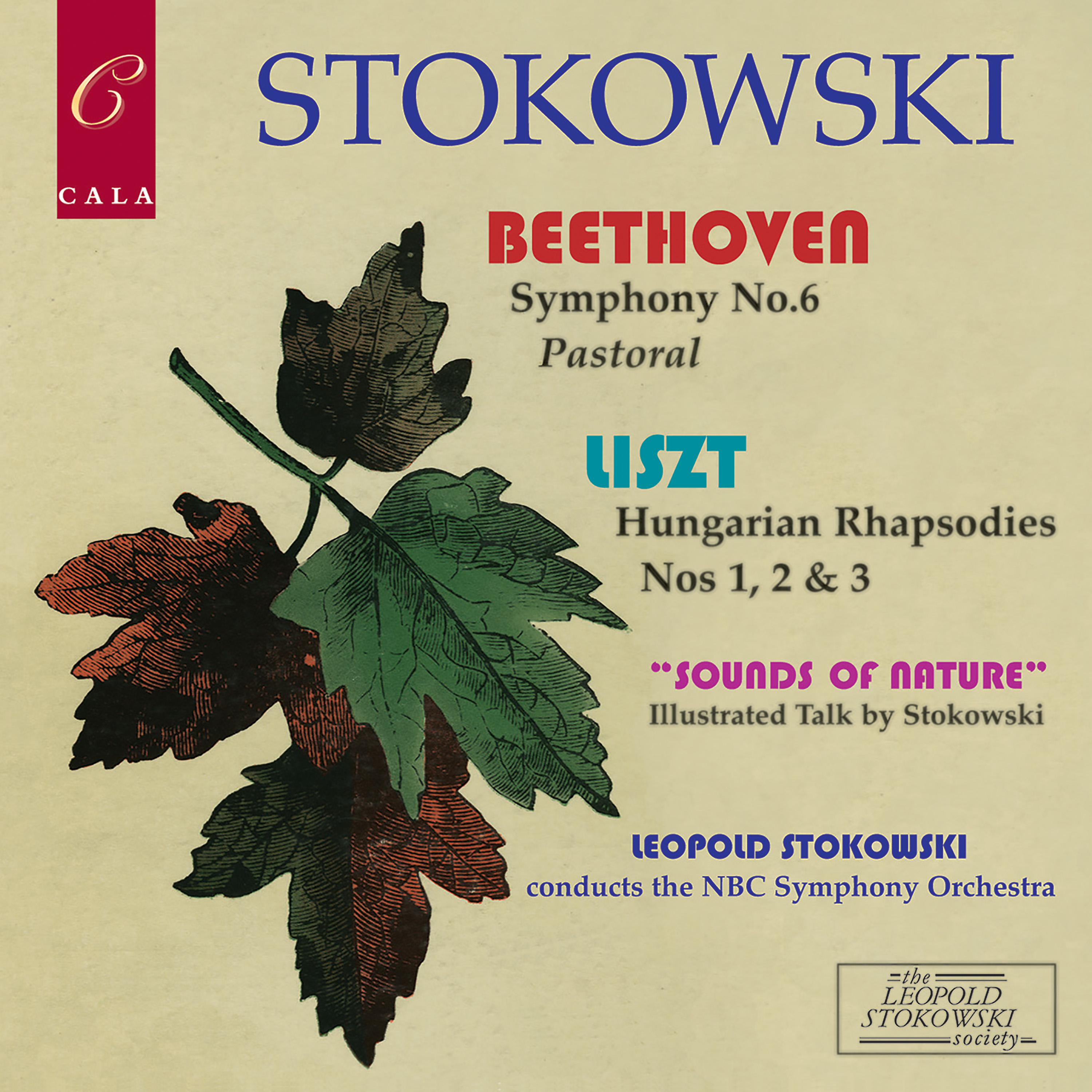 Постер альбома Beethoven: Symphony No. 6 - Liszt: Three Hungarian Rhapsodies