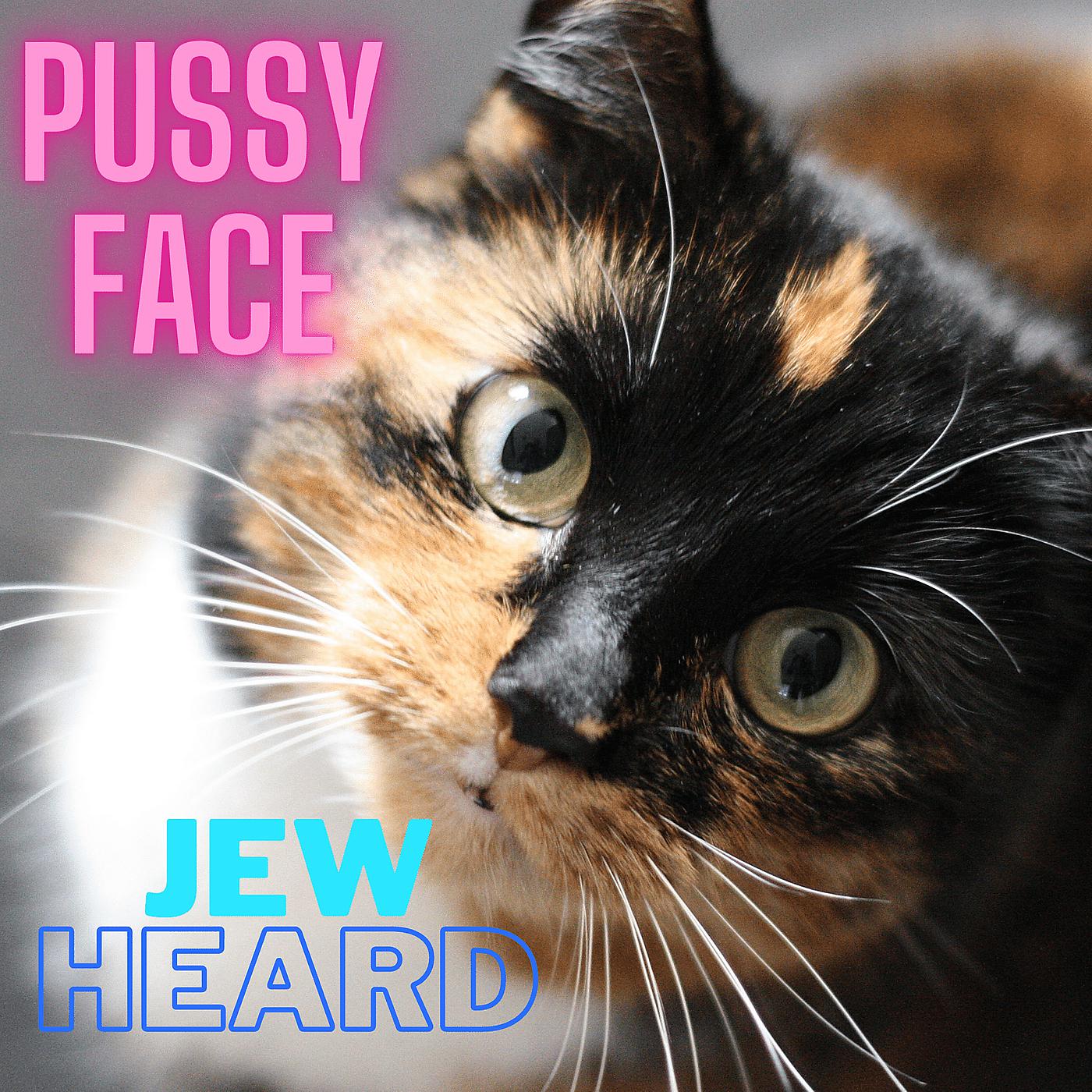 Постер альбома Pussyface