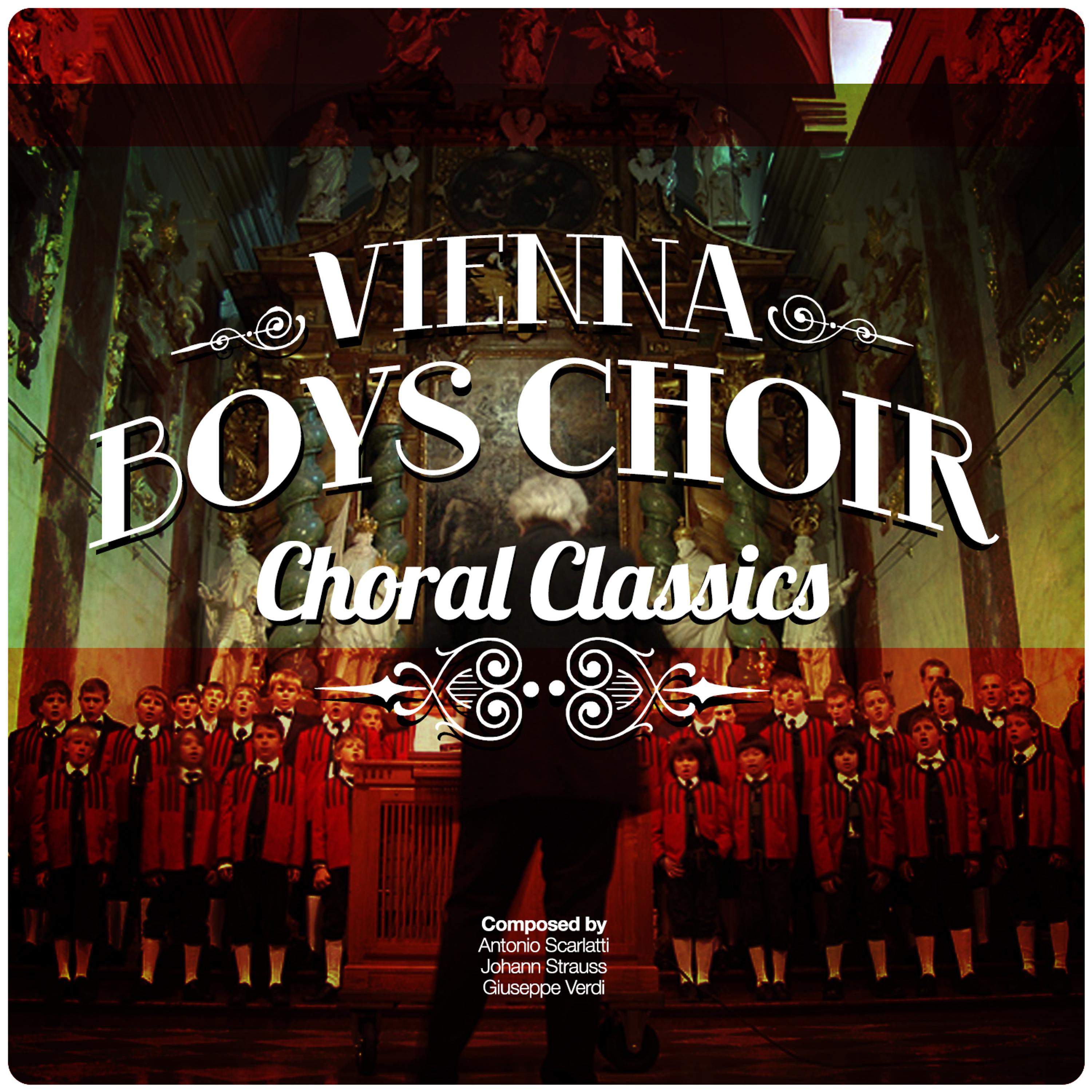 Постер альбома Vienna Boys Choir: Choral Classics