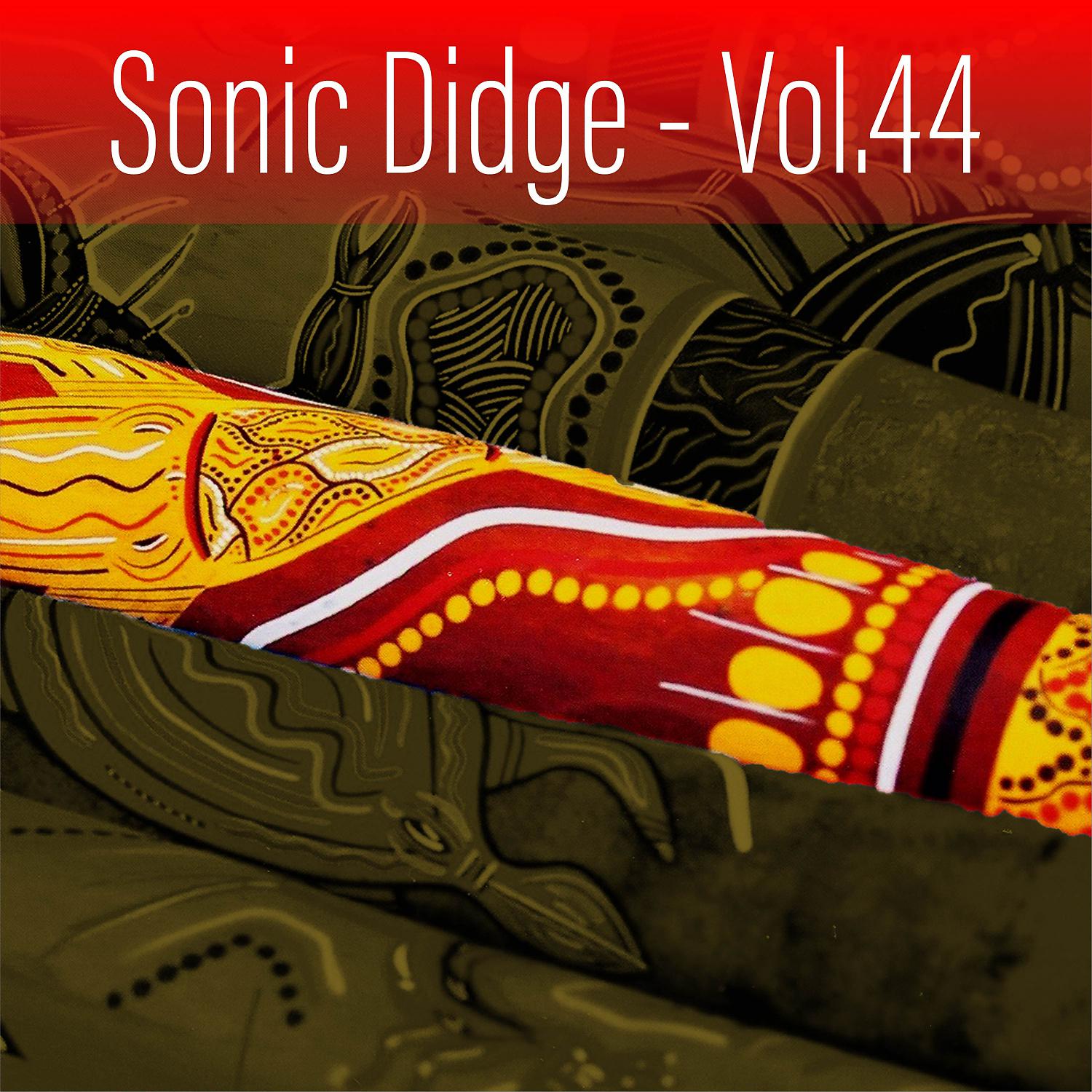 Постер альбома Sonic Didge, Vol. 44