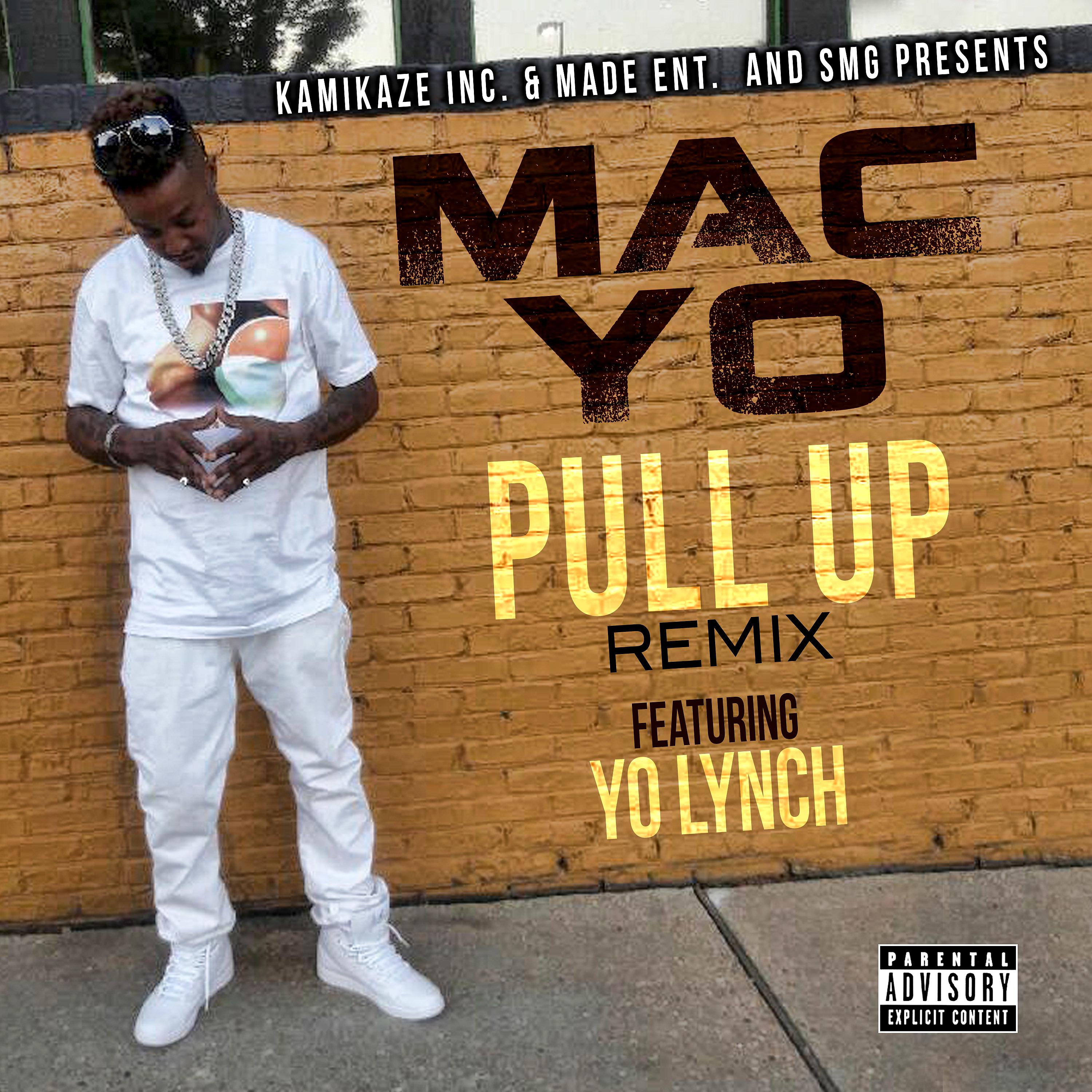 Постер альбома Pull up (Remix) (feat. Yo Lynch)