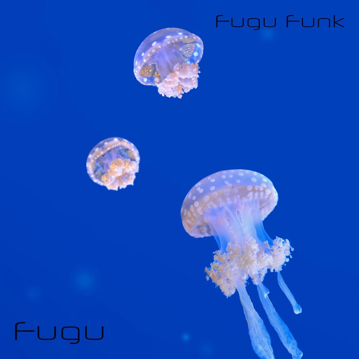 Постер альбома Fugu Funk