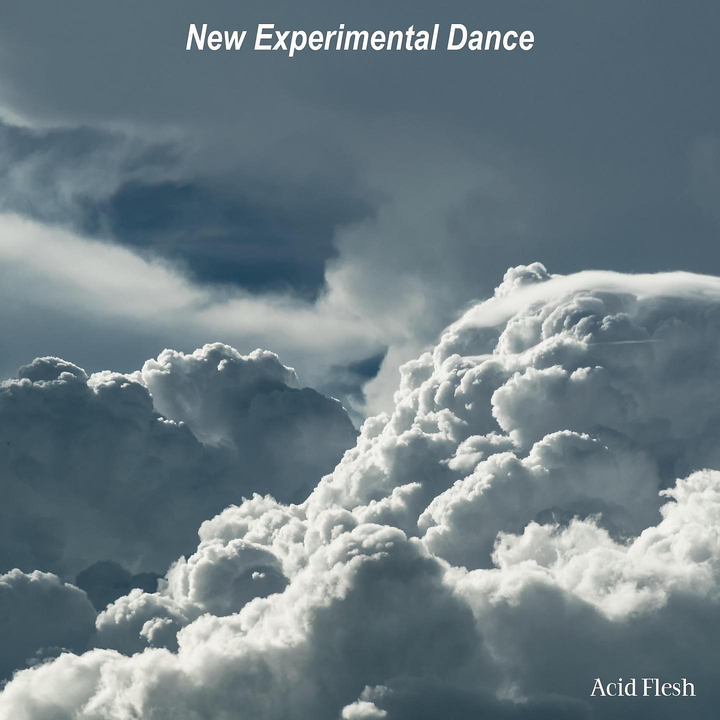 Постер альбома New Experimental Dance