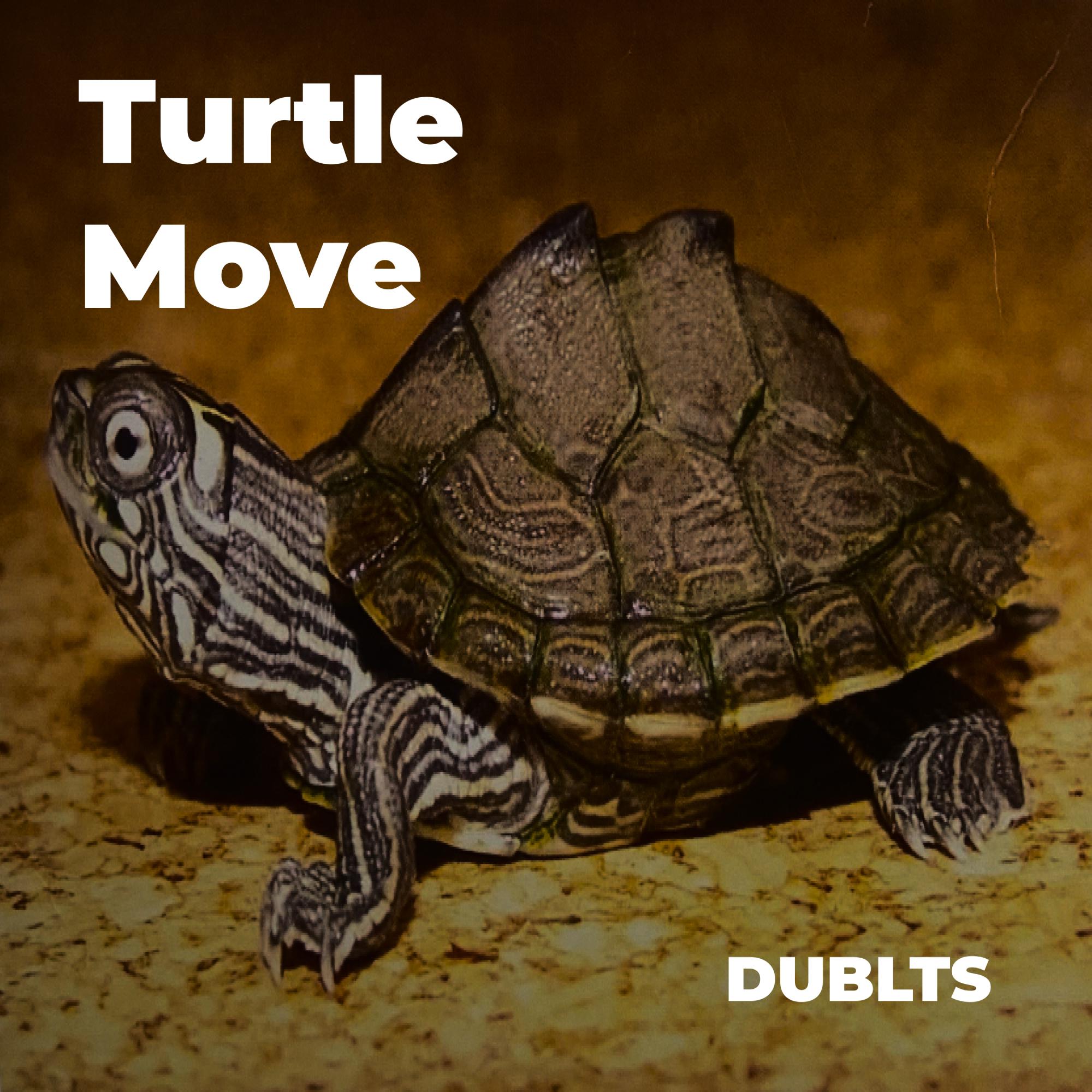 Постер альбома Turtle Move